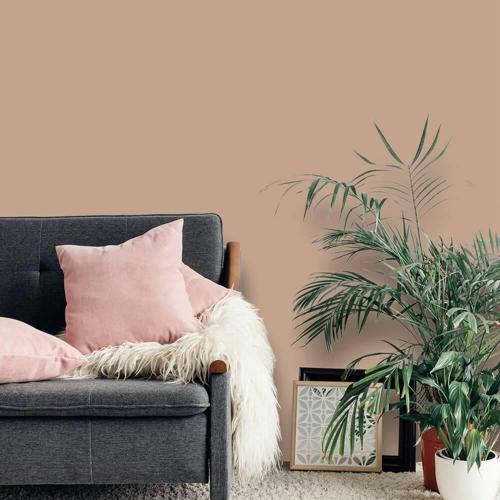 Orange Living Room Paint Colours