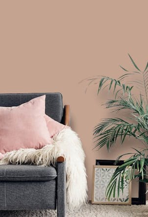 Sombrero Tan wall