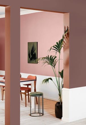 Dining room painted with Johnstone's Clay Ridge