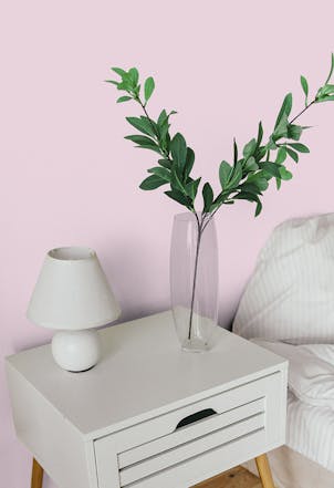 From Blush to Bashful: The Best Pink Paint Colors for the Living Room