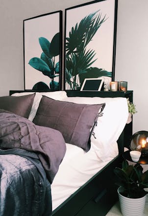 Apricot Cream bedroom wall