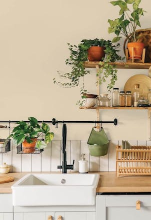 Kitchen wall painted with Johnstone's Almond Brittle