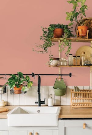 Kitchen painted with Johnstone's Coral Dawn