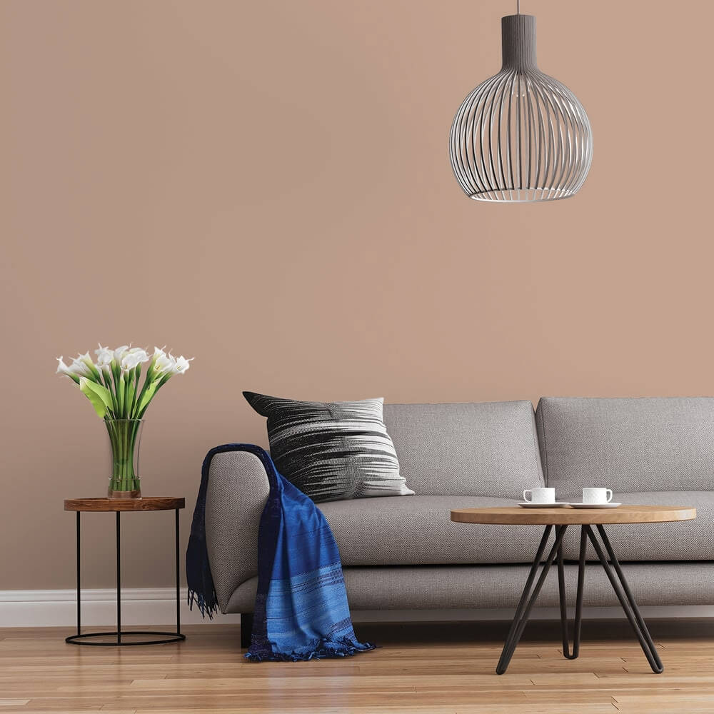 Orange Living Room Paint Colours