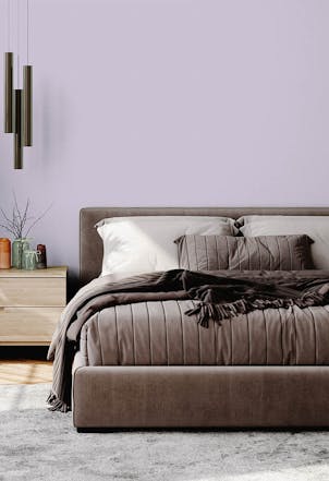 Room painted with Johnstone's