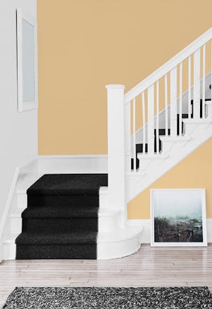 Wall painted with Johnstone's Splash Of Honey