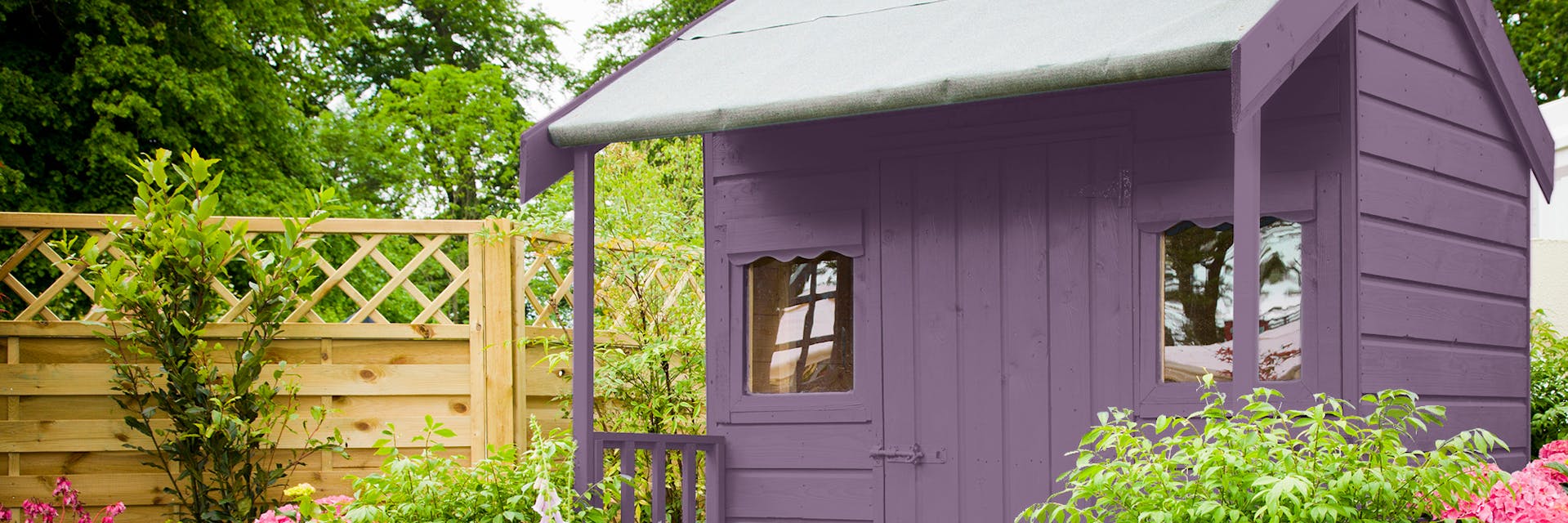 Purple shed