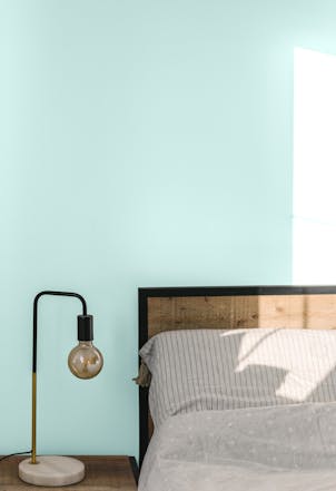 Swan Lake bedroom wall