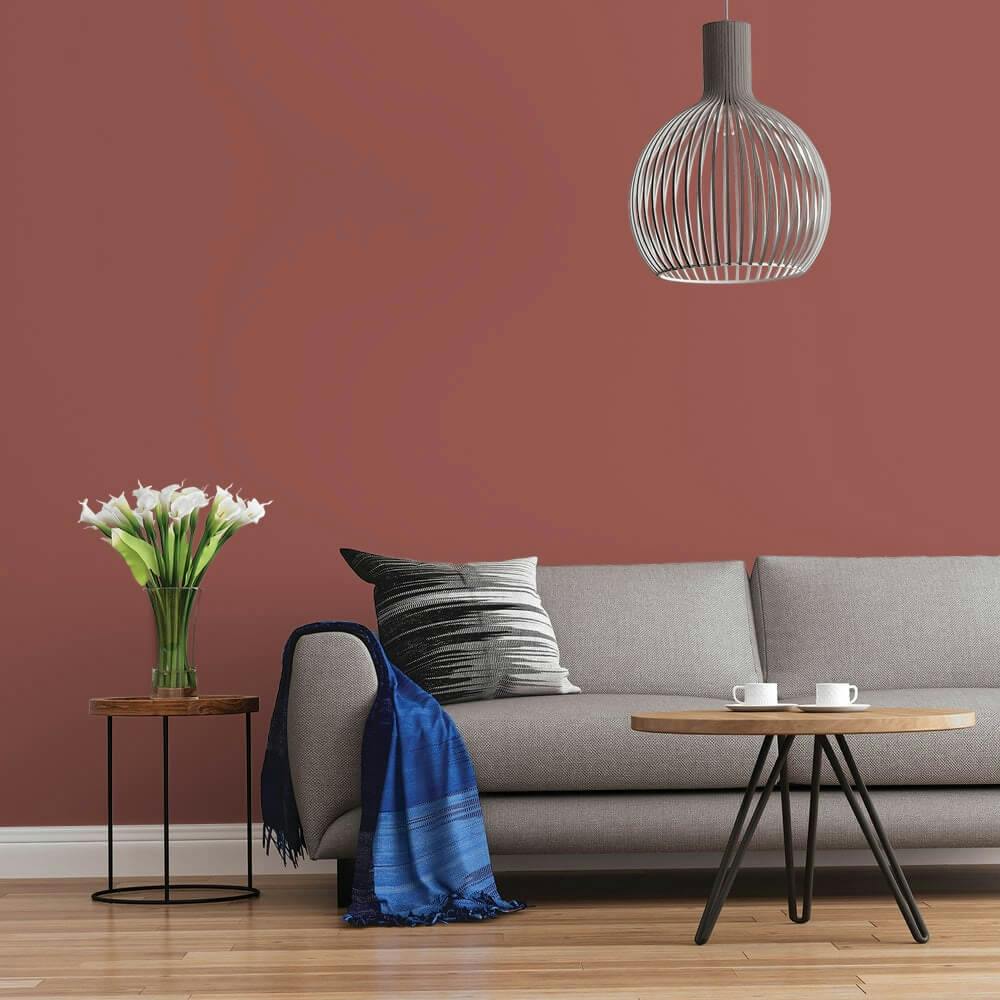 Orange Living Room Paint Colours