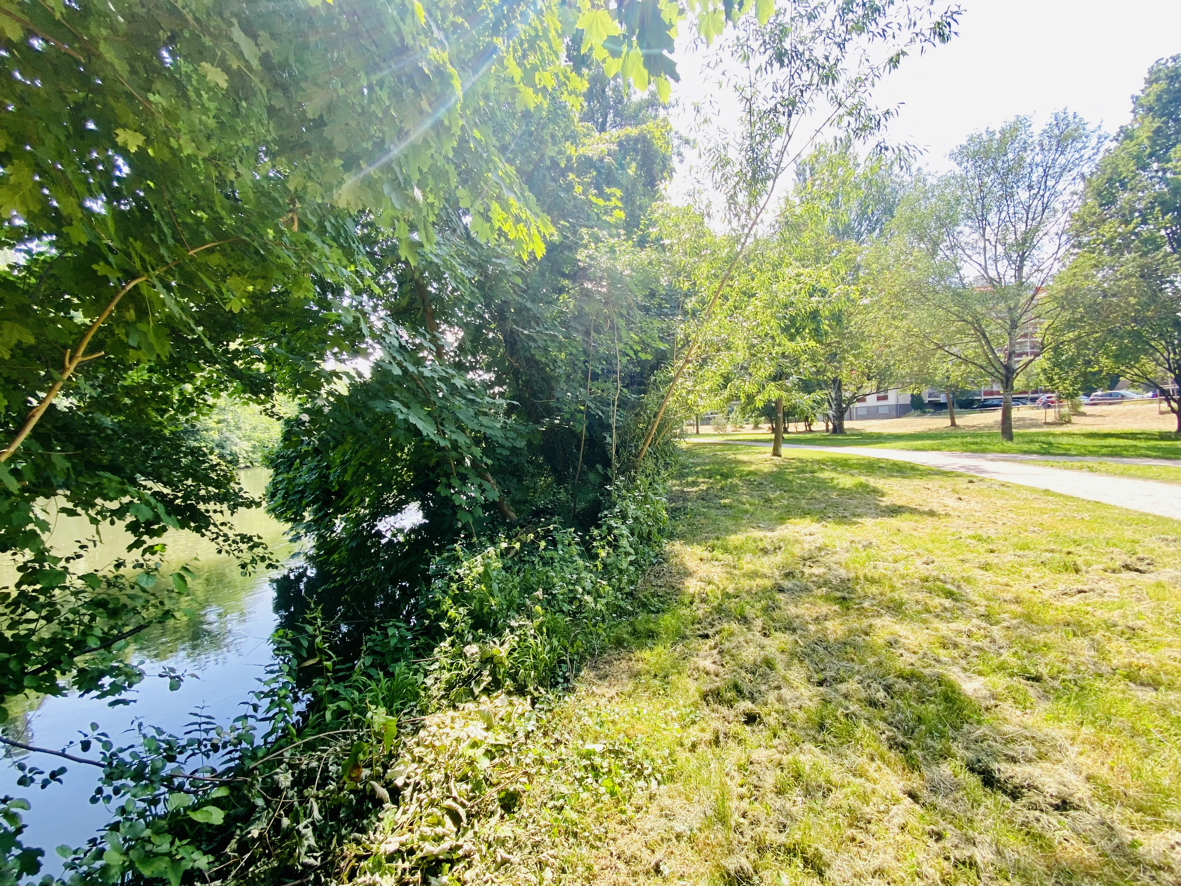 Strasbourg - Appartement 65m²