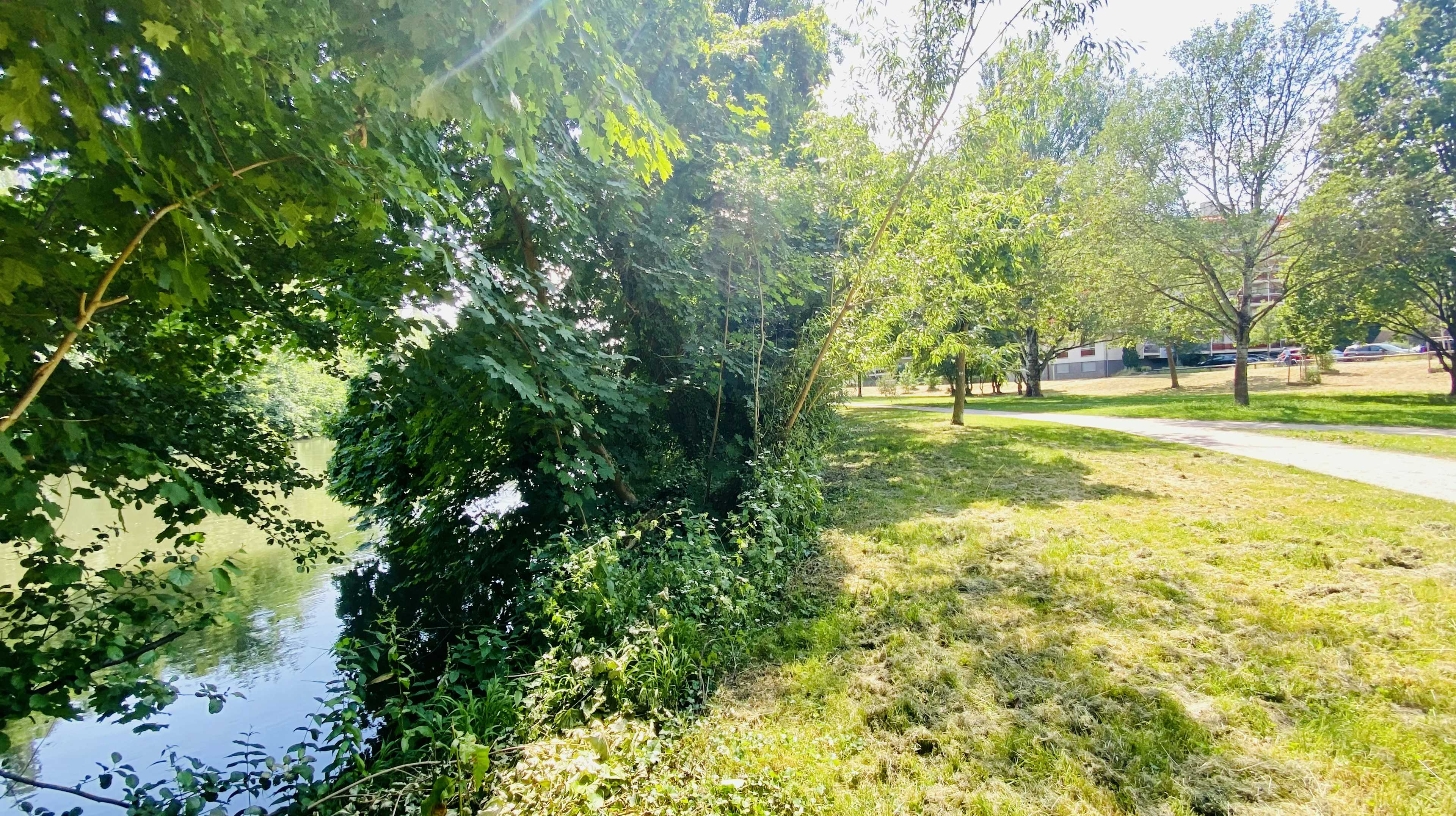 Strasbourg - Appartement 65m²