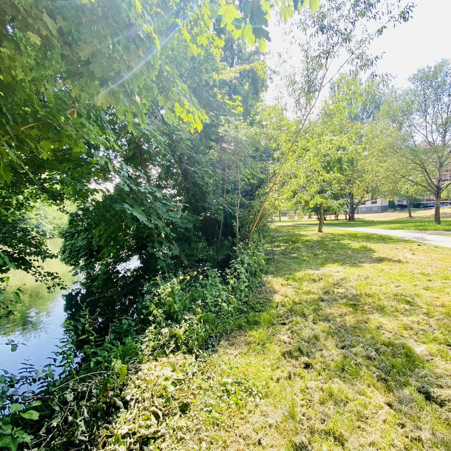 Strasbourg - Appartement 65m²