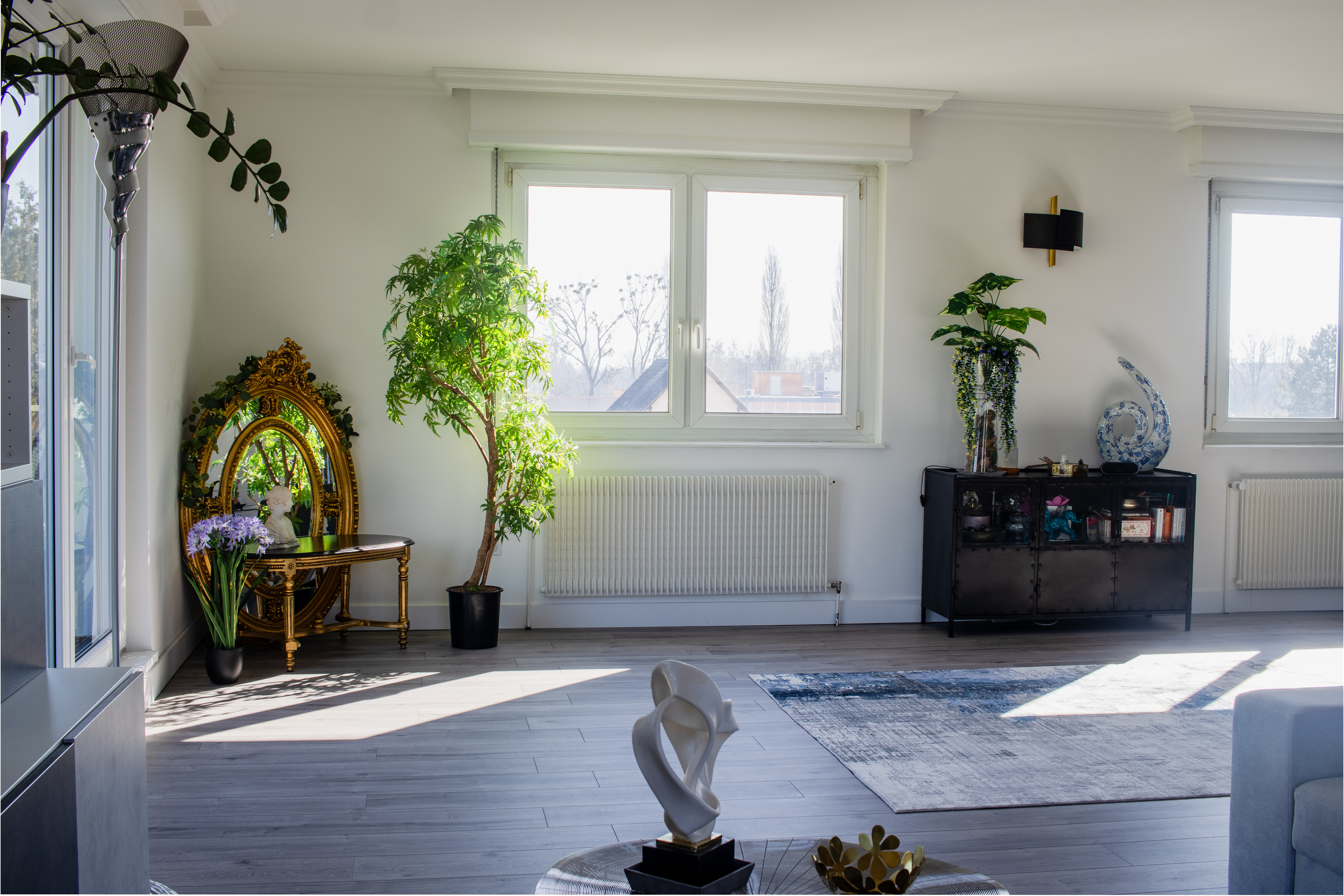 Schiltigheim - Attique / Bureaux 295m²