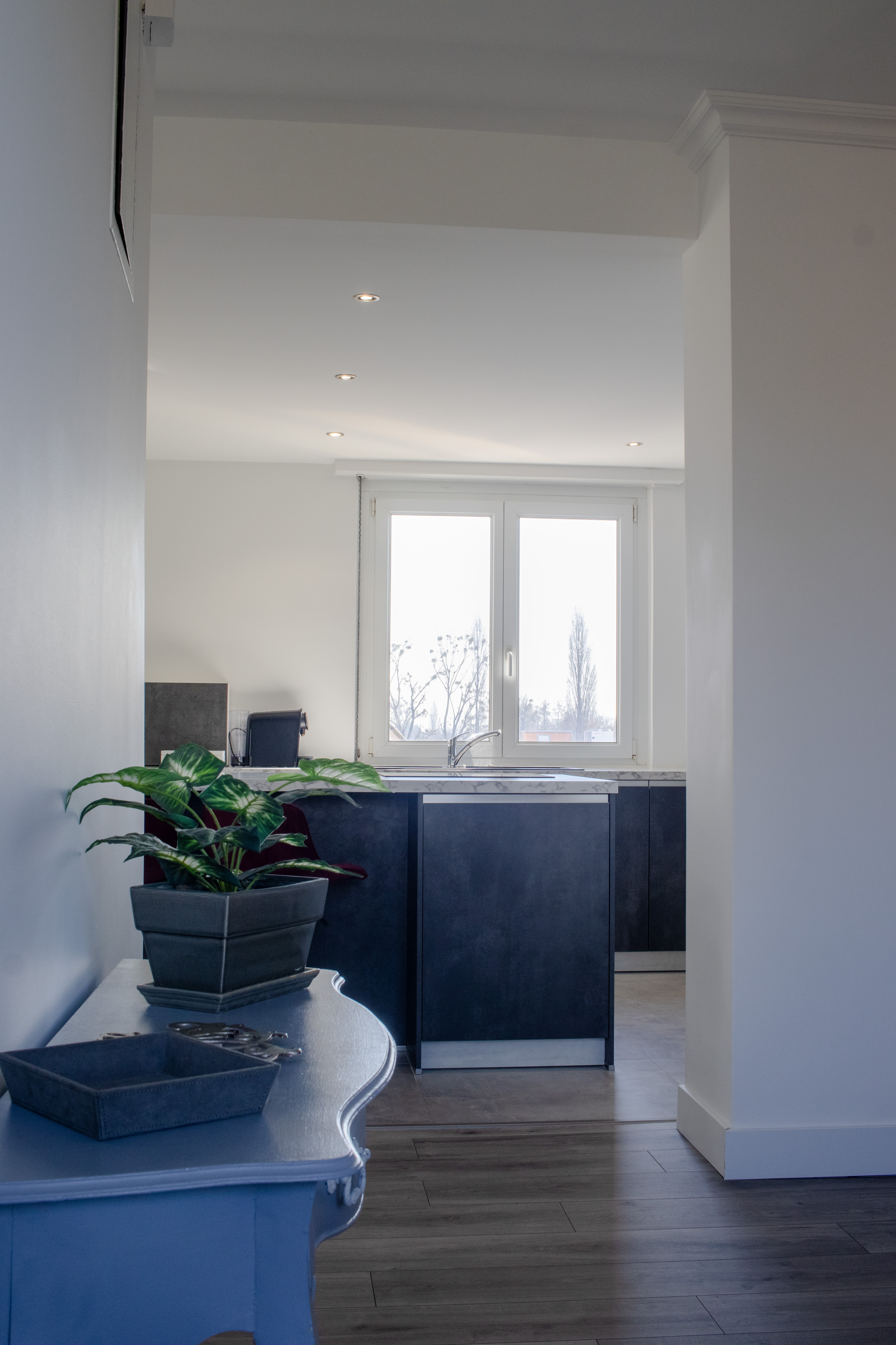 Schiltigheim - Attique / Bureaux 295m²