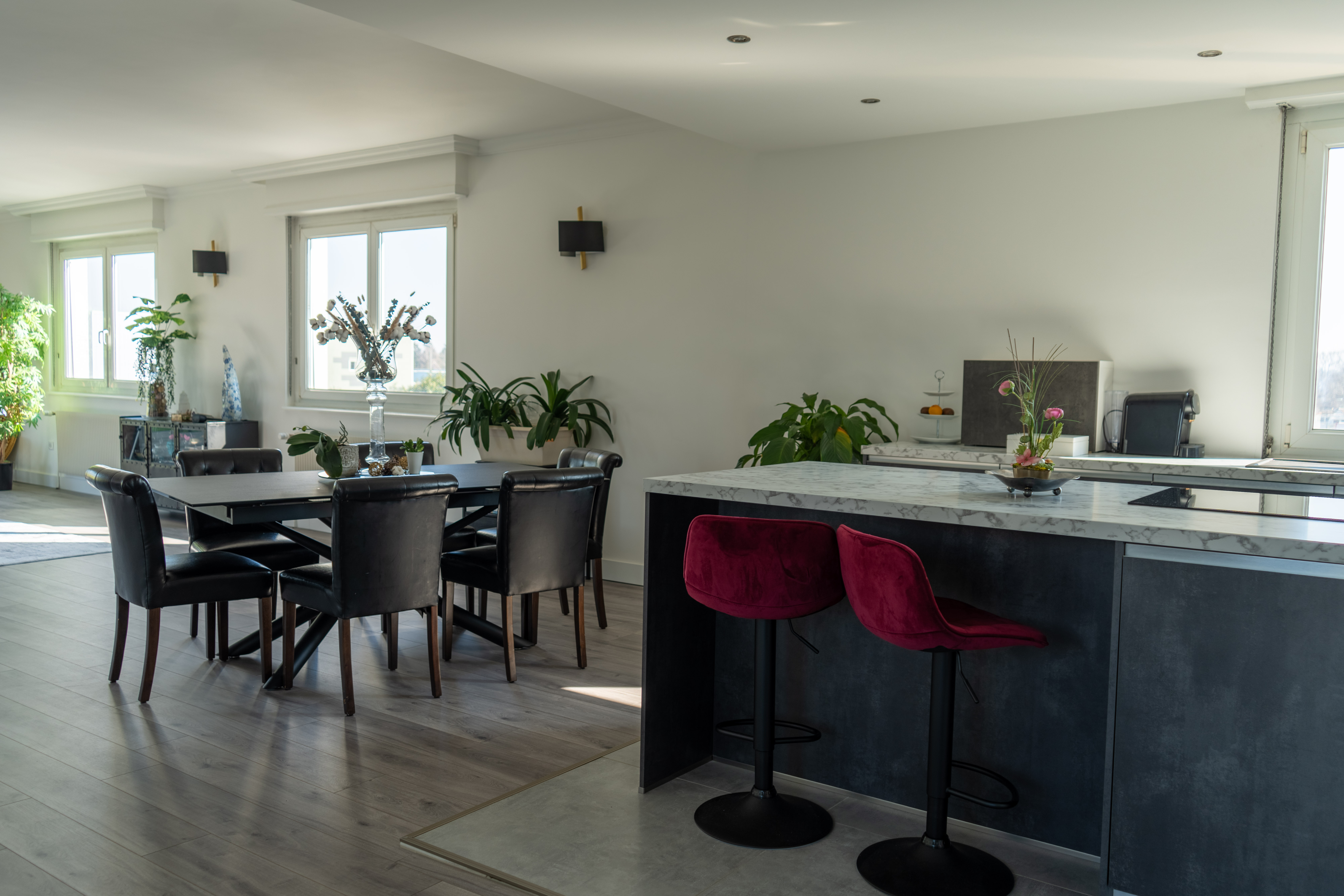 Schiltigheim - Attique / Bureaux 295m²