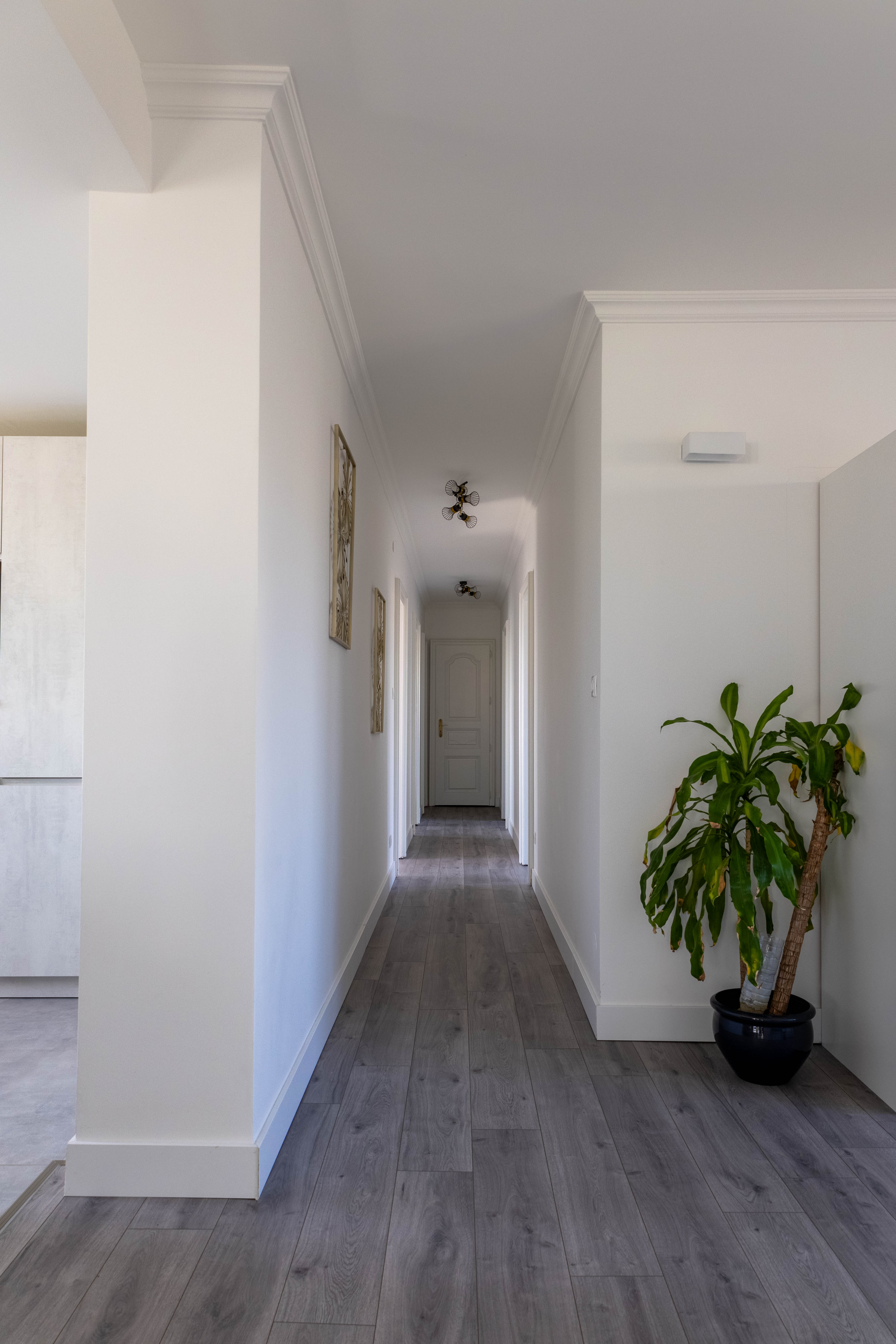 Schiltigheim - Attique / Bureaux 295m²