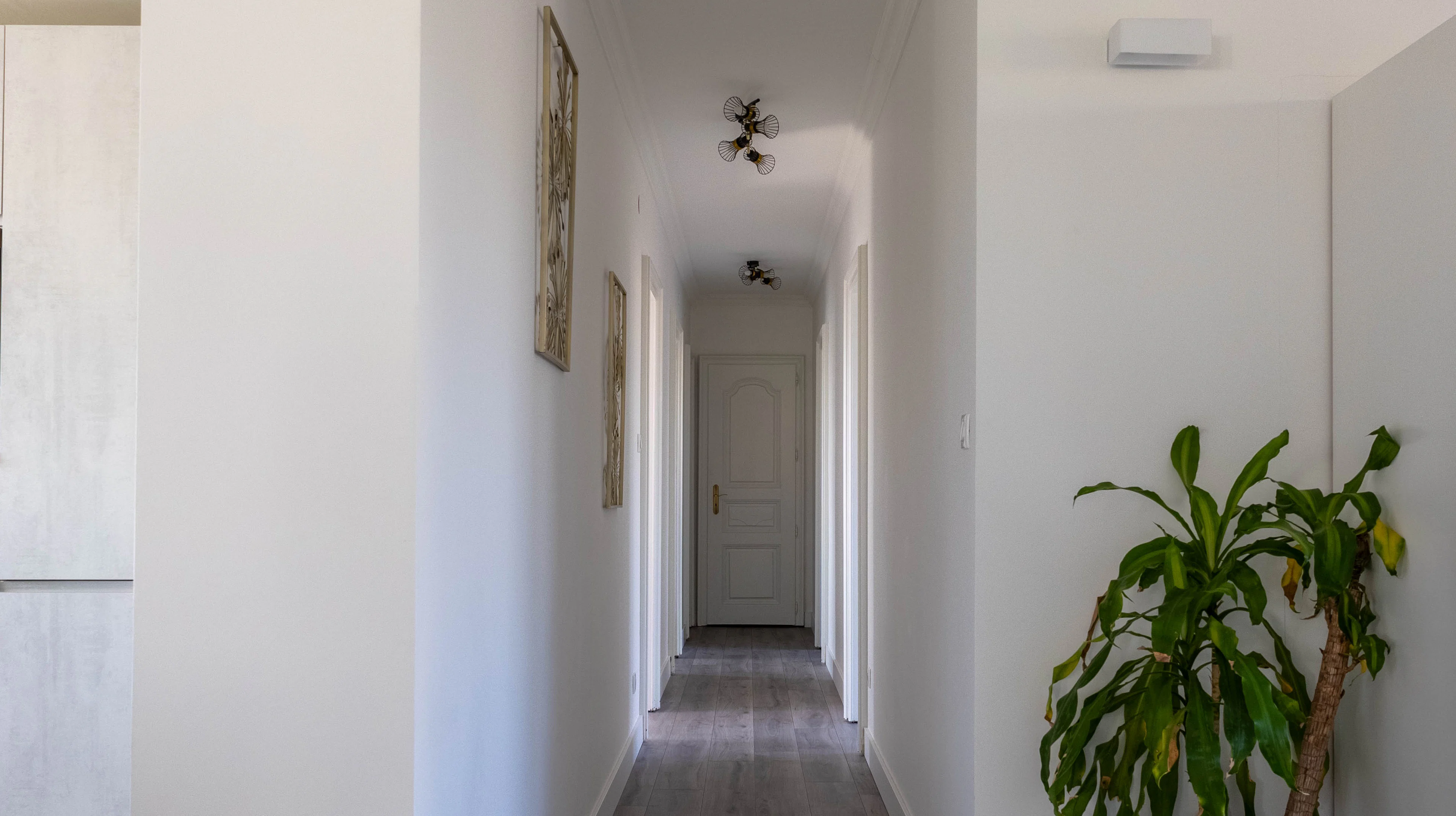 Schiltigheim - Attique / Bureaux 295m²
