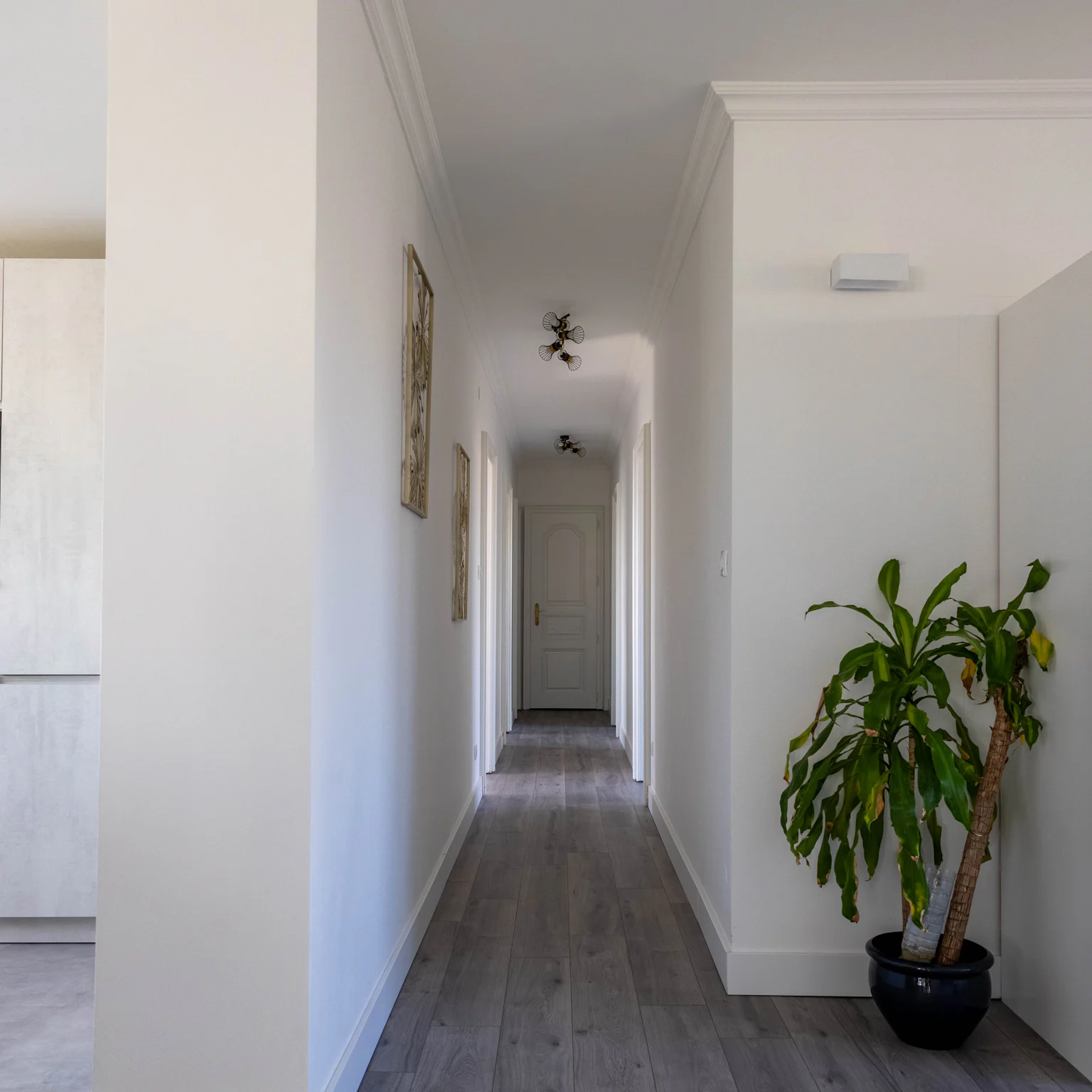 Schiltigheim - Attique / Bureaux 295m²