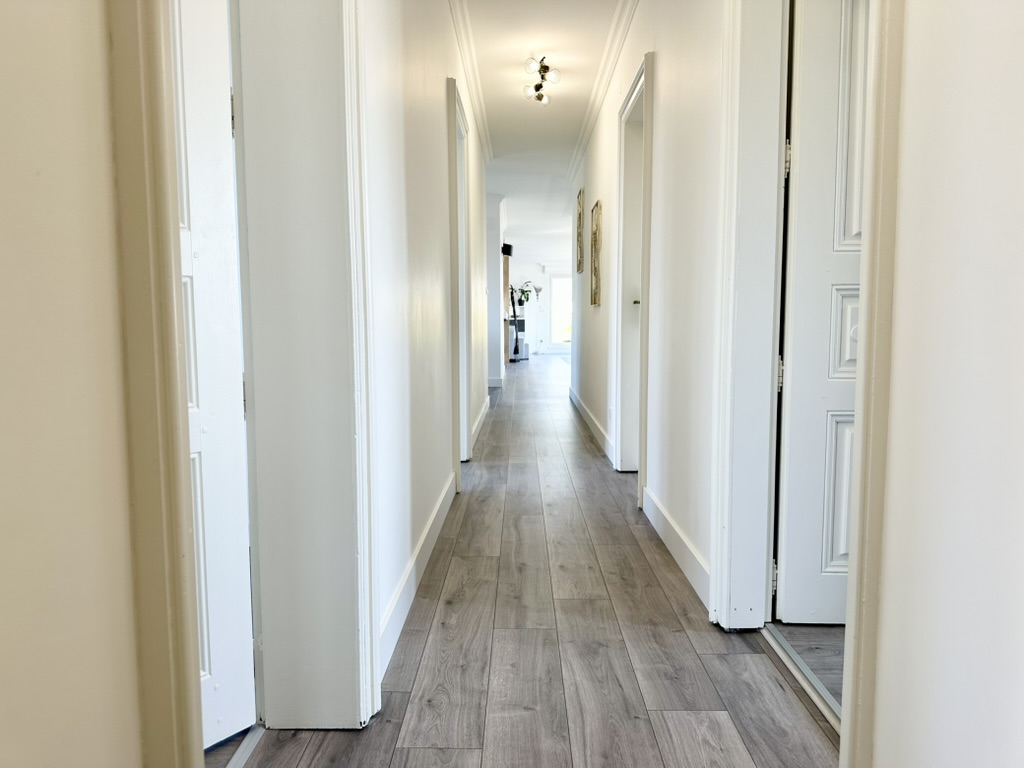 Schiltigheim - Attique / Bureaux 295m²