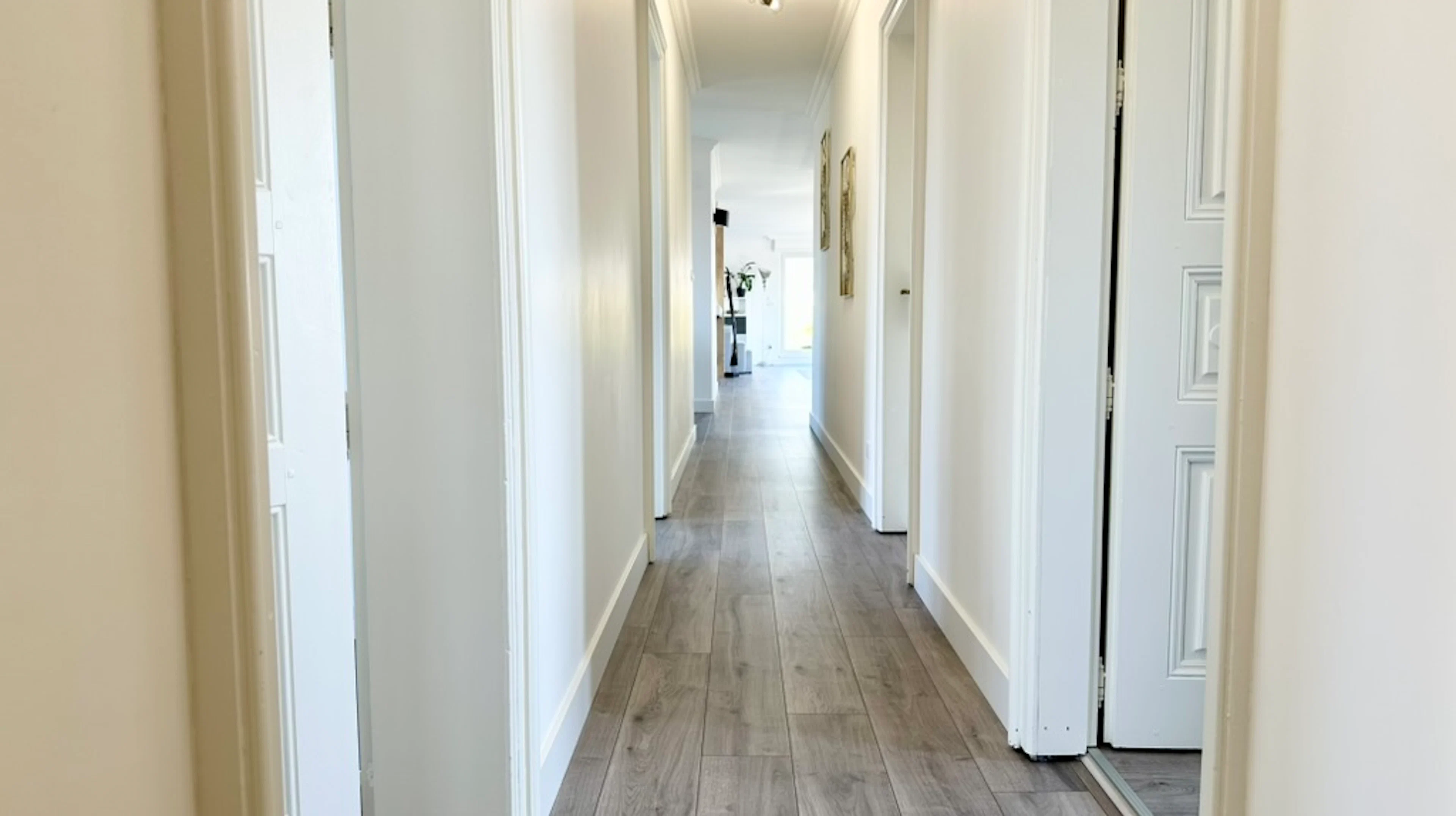 Schiltigheim - Attique / Bureaux 295m²
