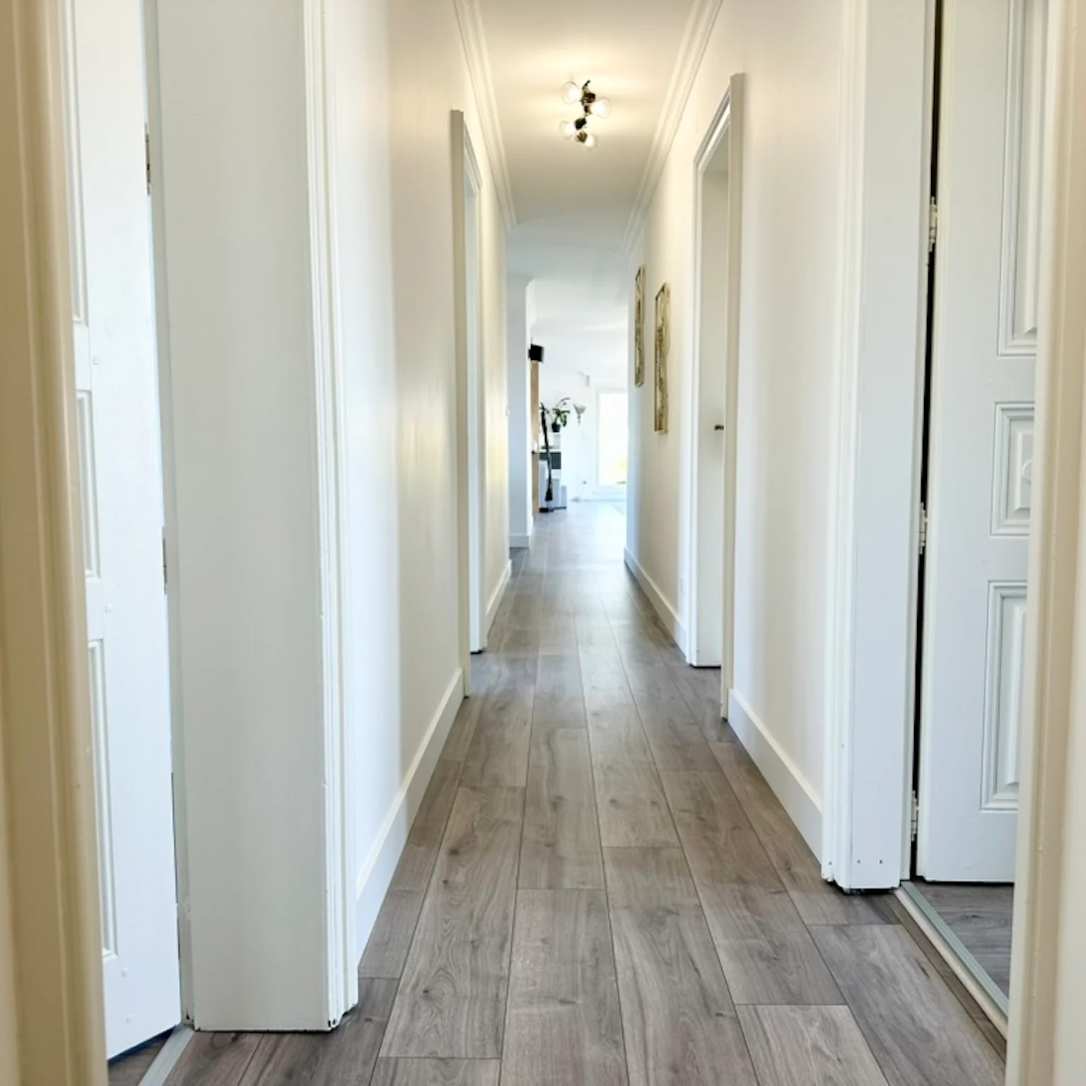 Schiltigheim - Attique / Bureaux 295m²