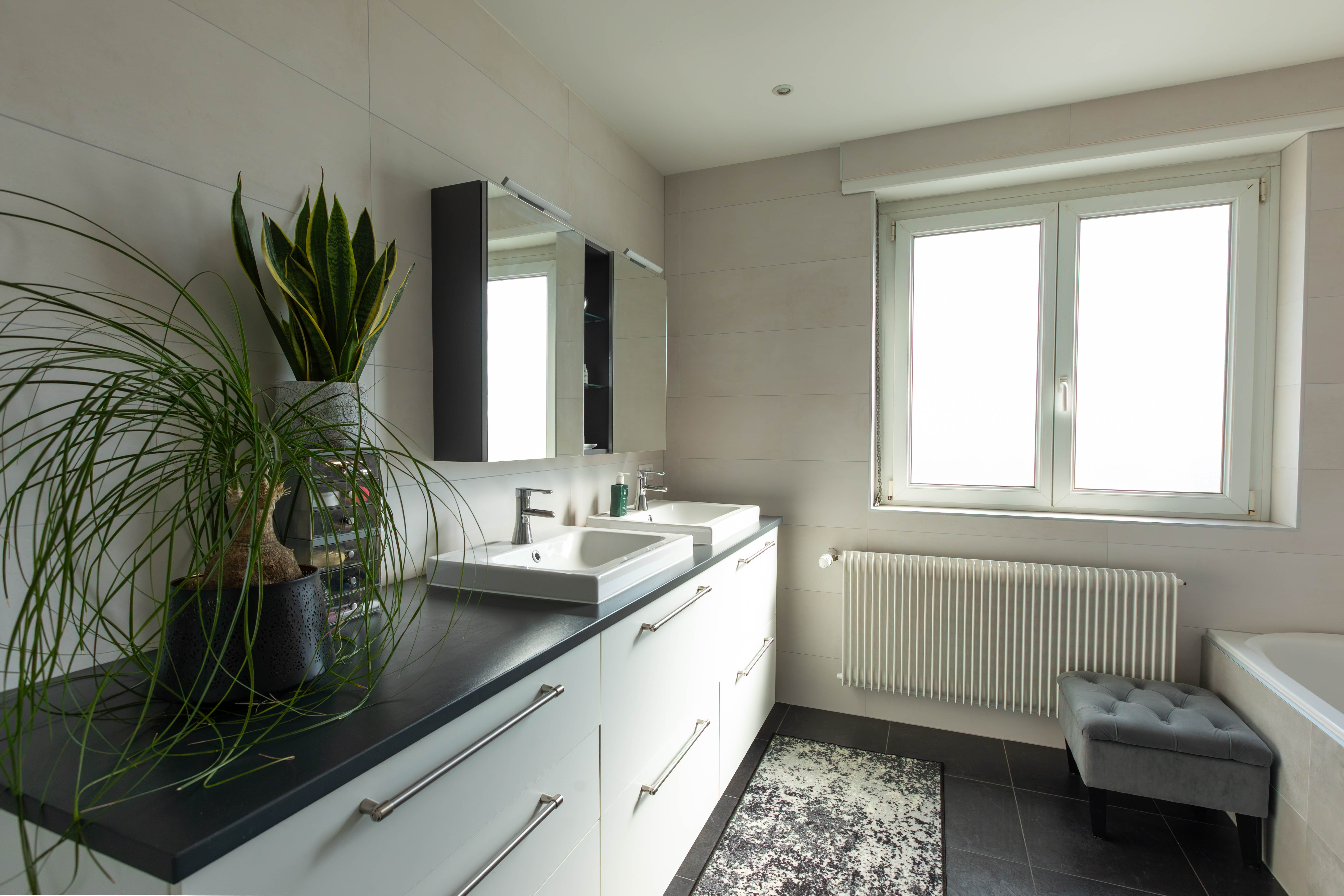 Schiltigheim - Attique / Bureaux 295m²