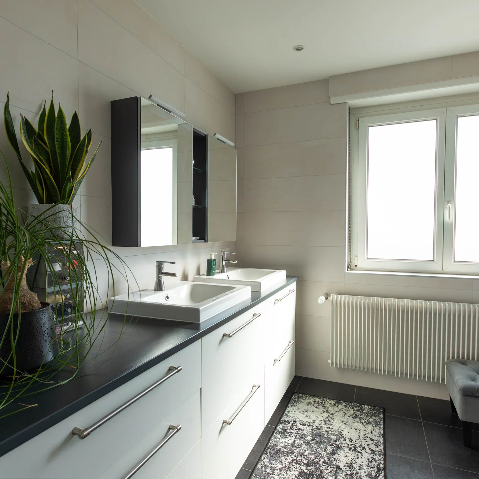 Schiltigheim - Attique / Bureaux 295m²