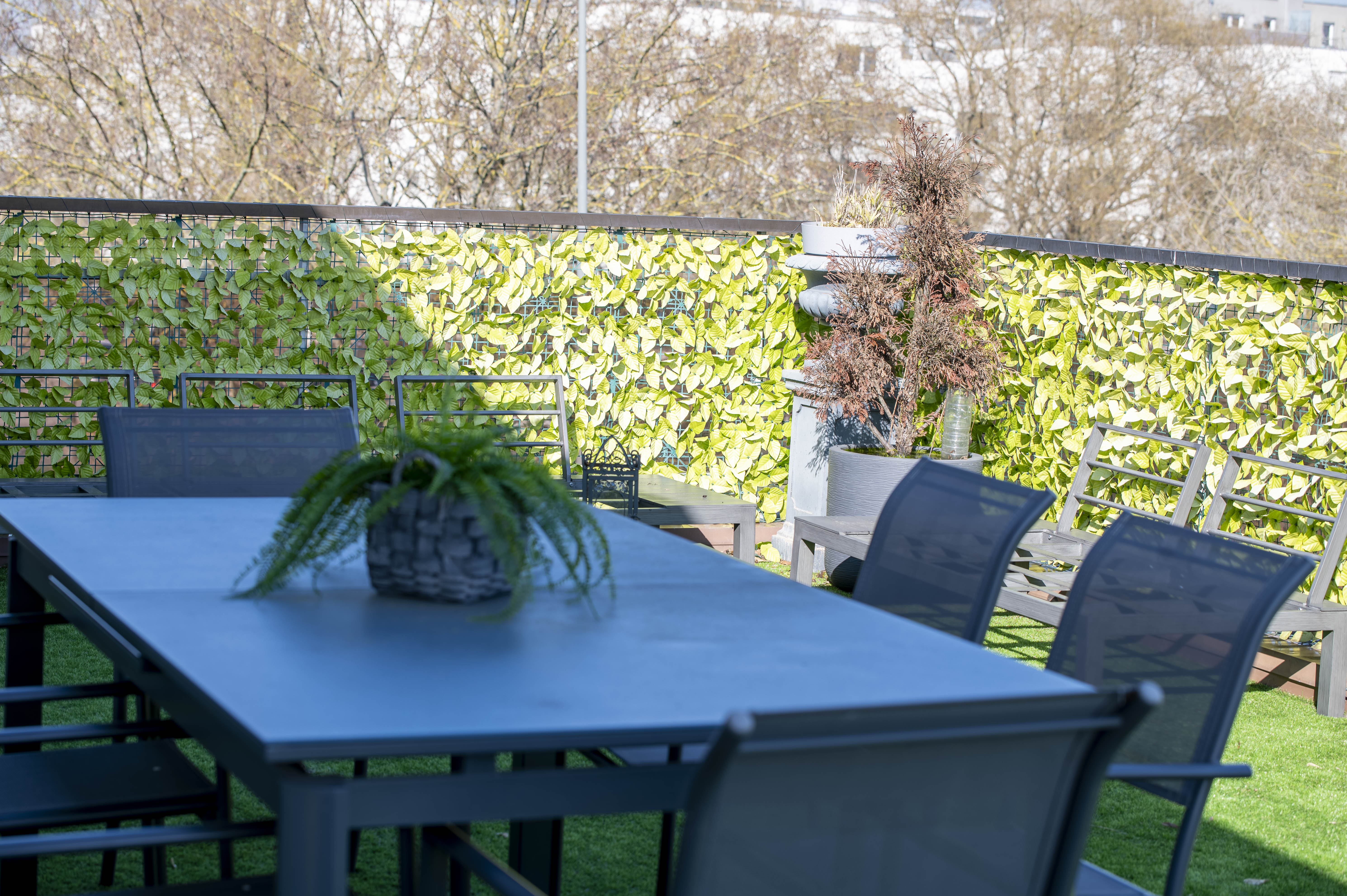 Schiltigheim - Attique / Bureaux 295m²