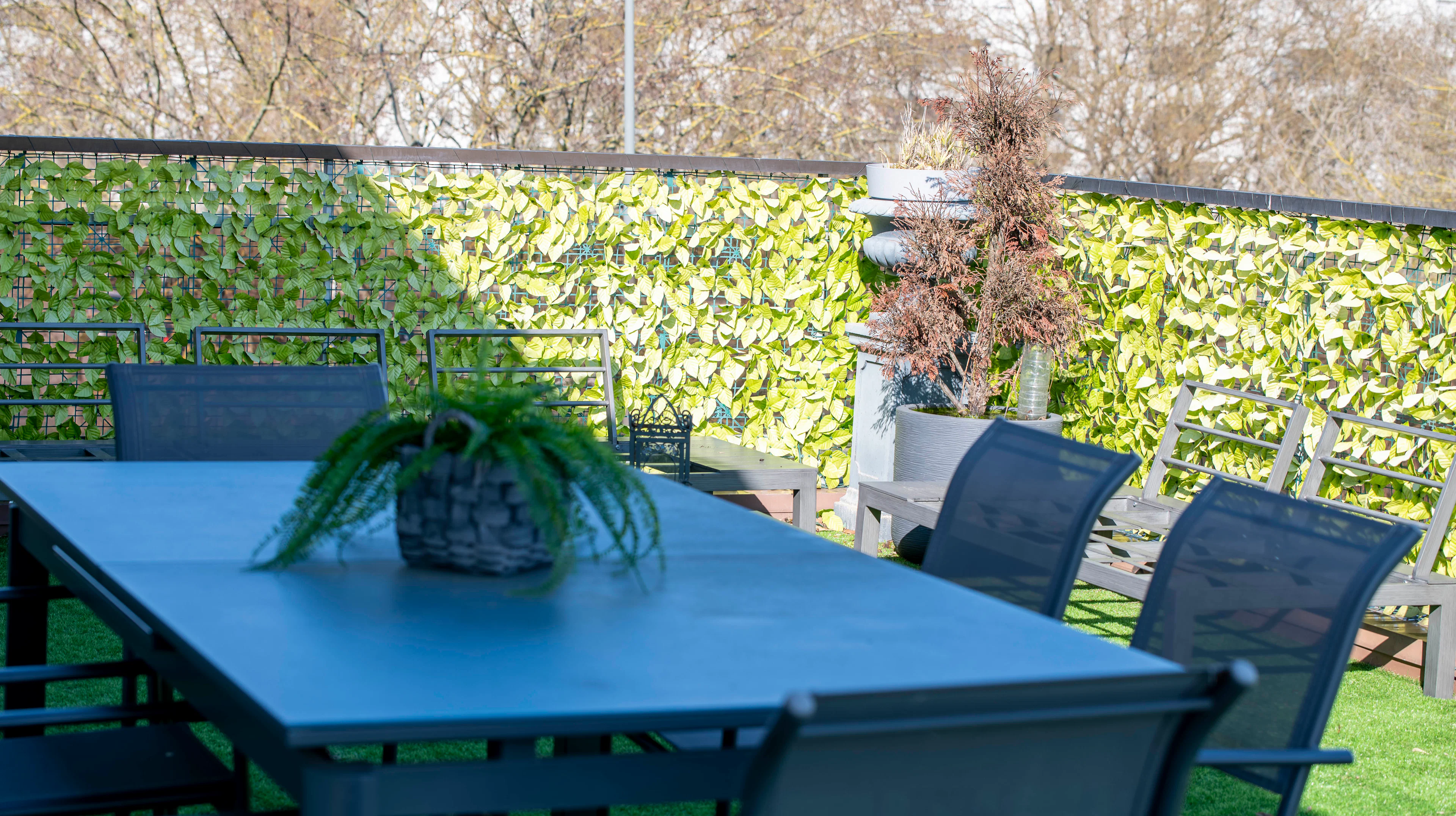 Schiltigheim - Attique / Bureaux 295m²