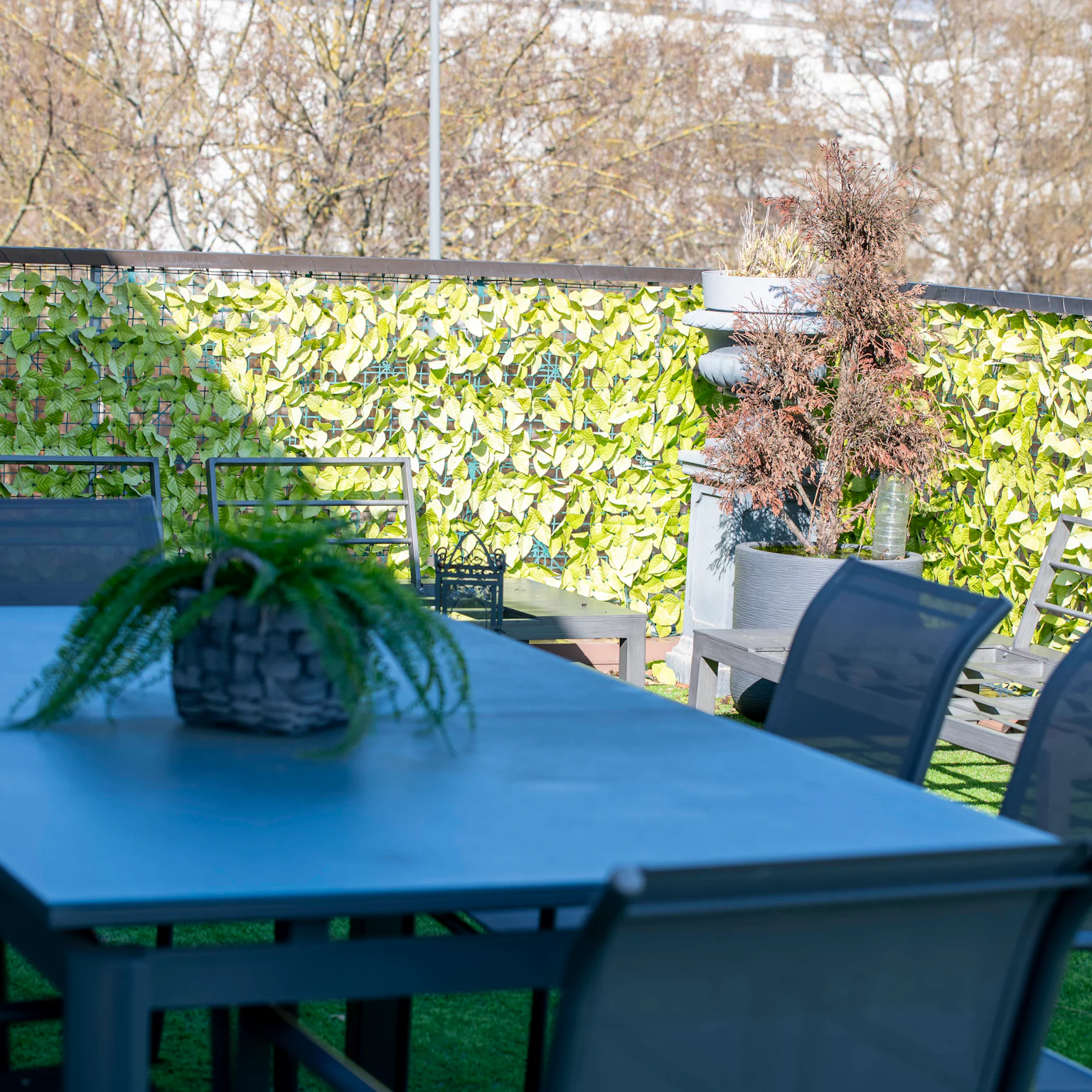 Schiltigheim - Attique / Bureaux 295m²