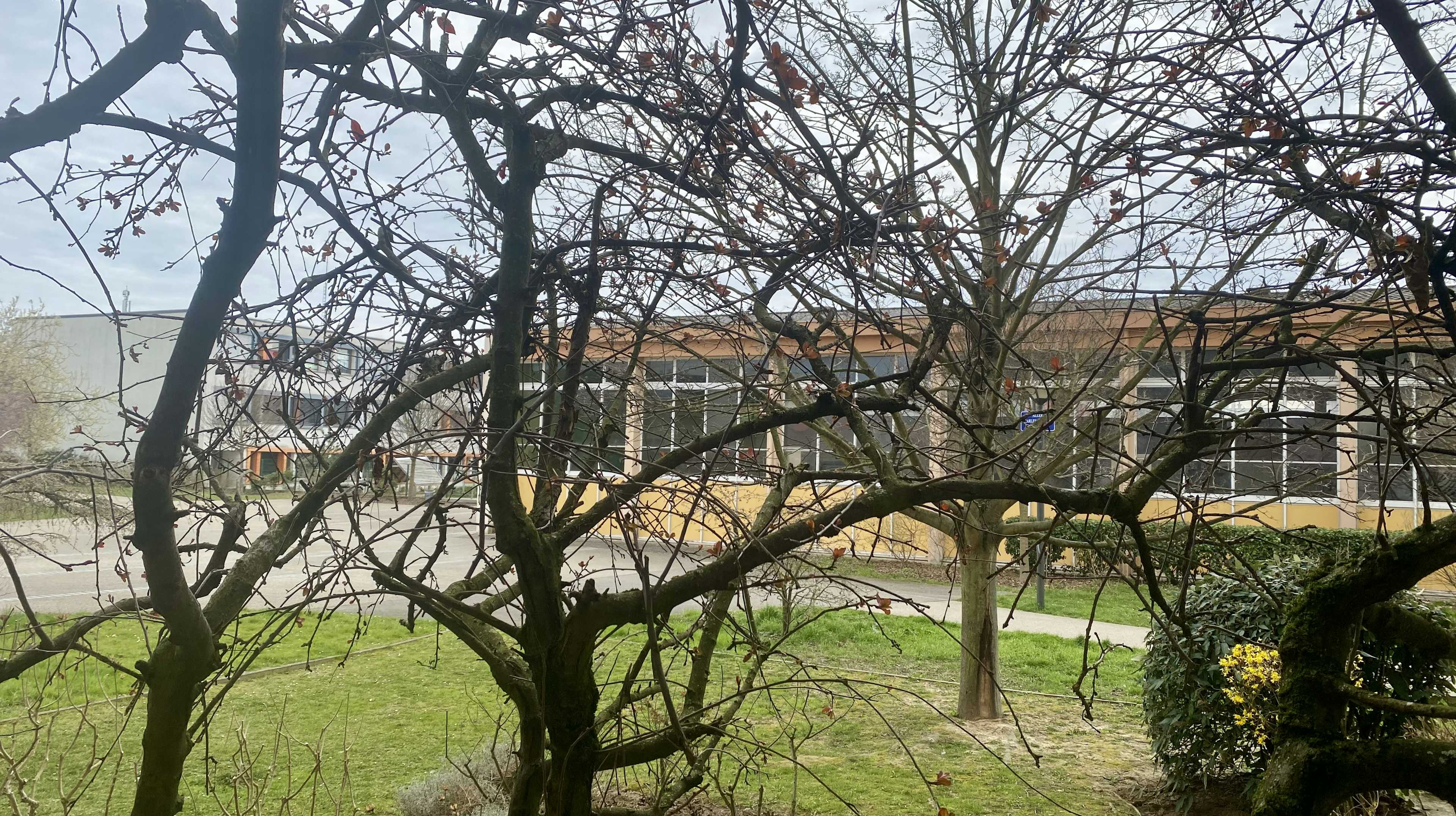 Strasbourg - Appartement 55 m²