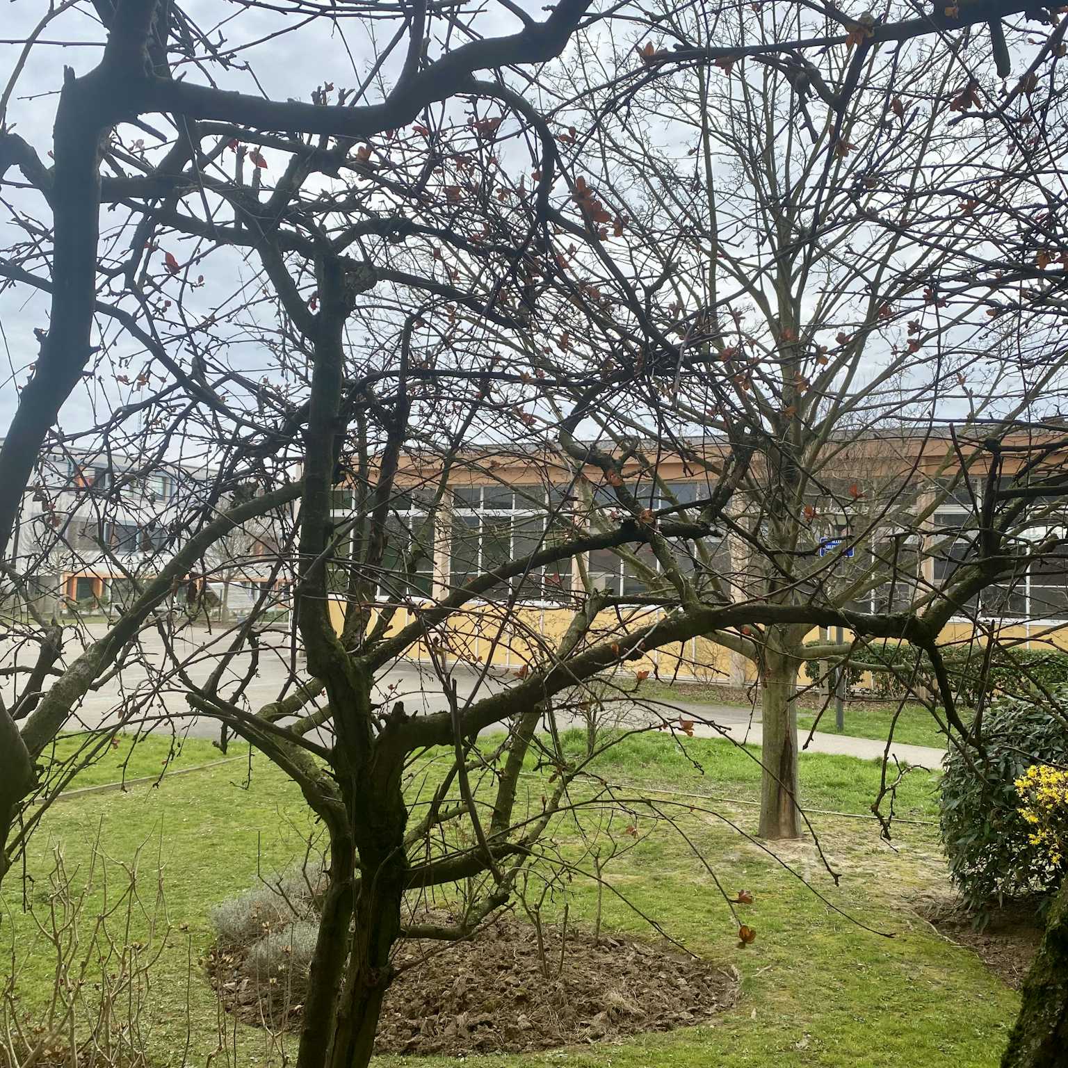 Strasbourg - Appartement 55 m²