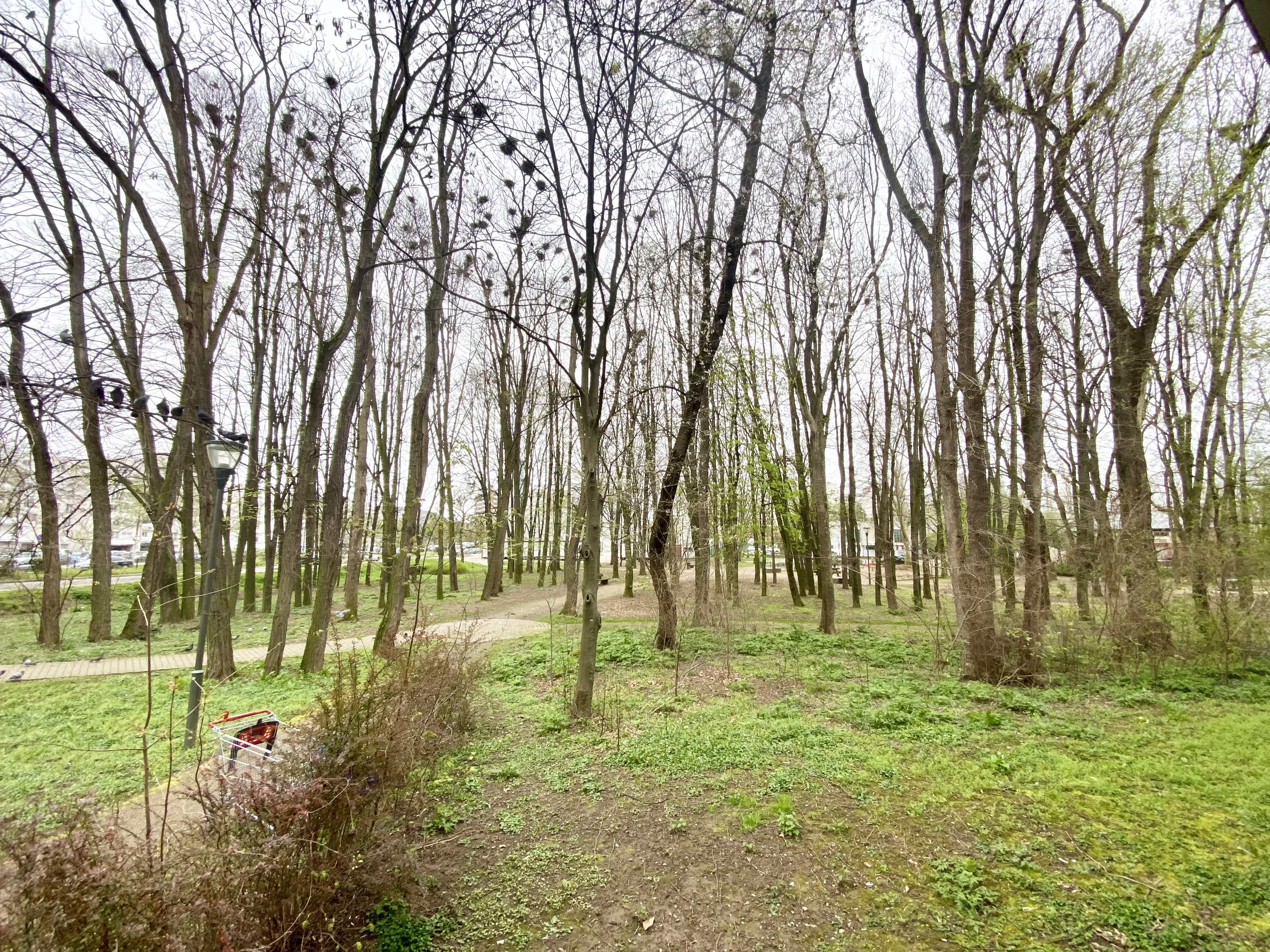 Strasbourg - Appartement traversant 103m² - Cave