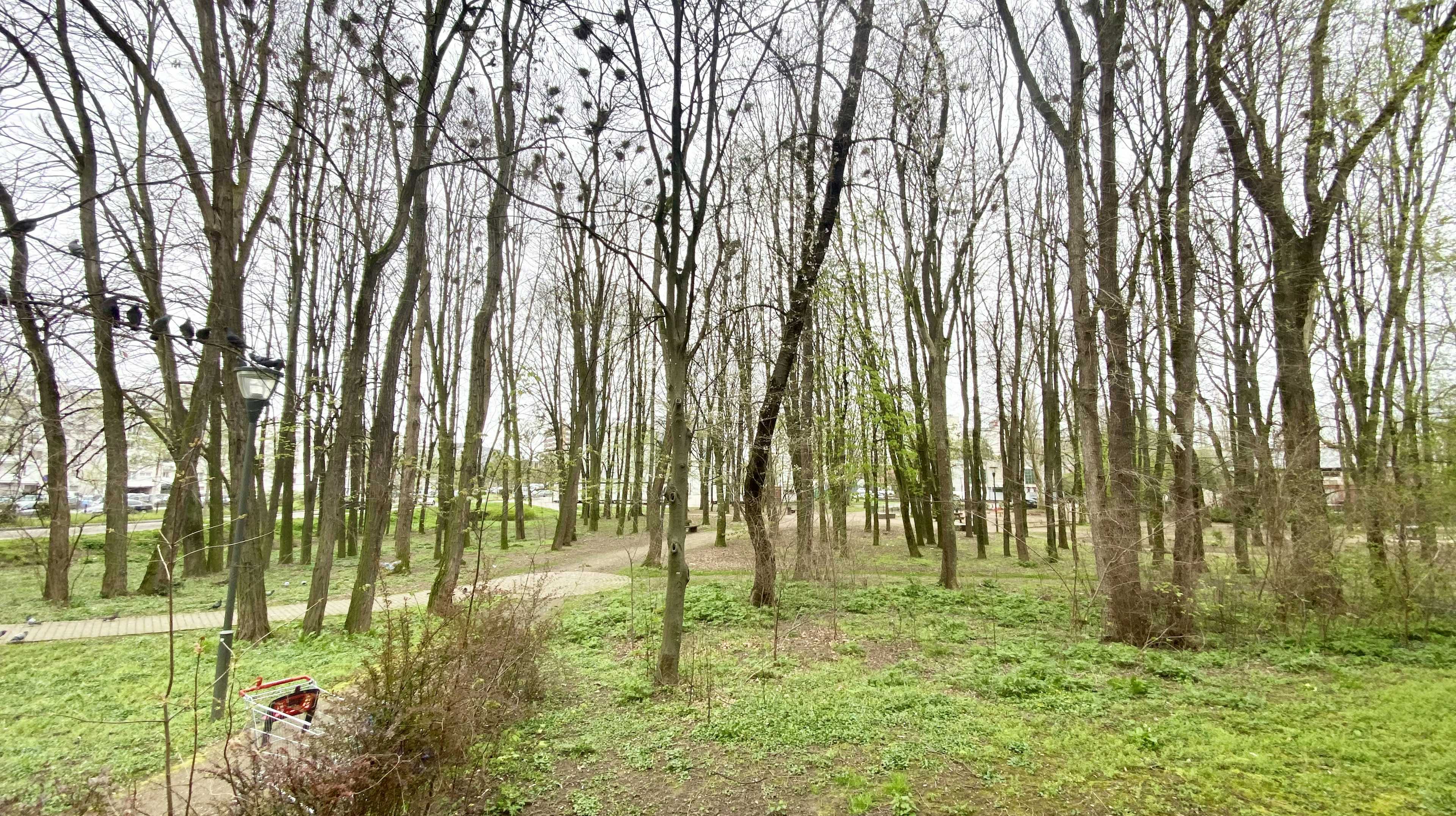 Strasbourg - Appartement traversant 103m² - Cave