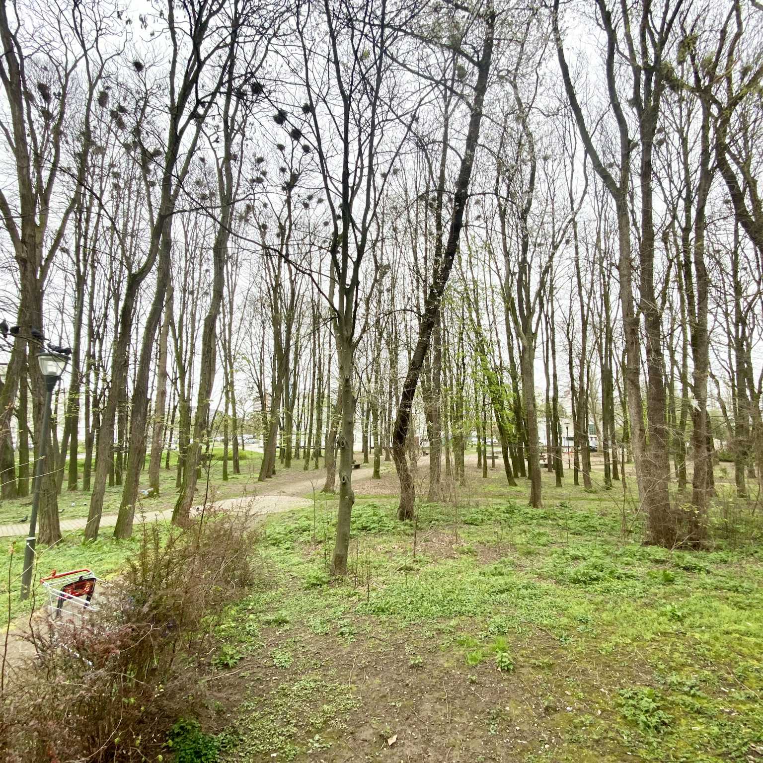 Strasbourg - Appartement traversant 103m² - Cave