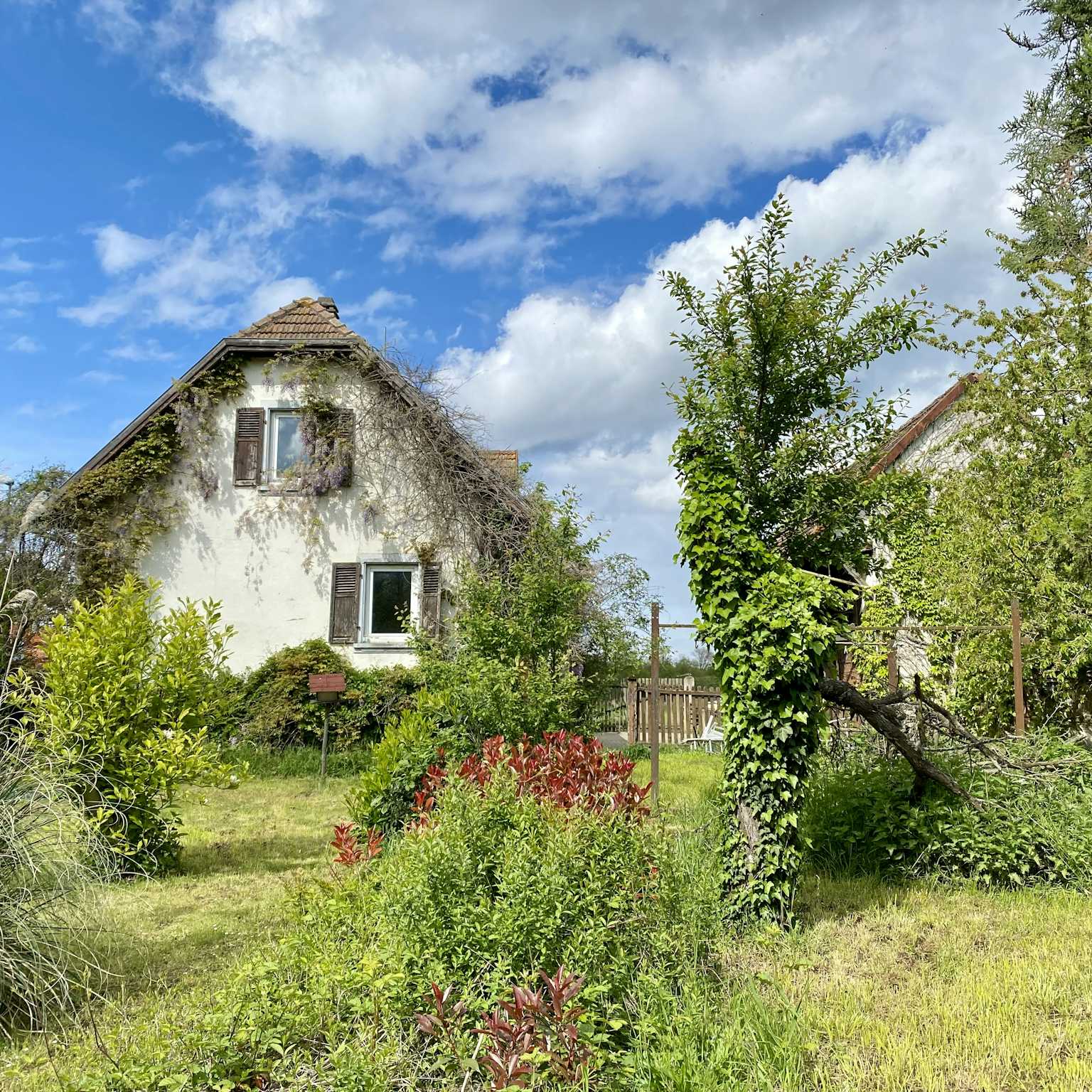 Plobsheim - Maison 111m² - Terrain 2 338m² - Etang