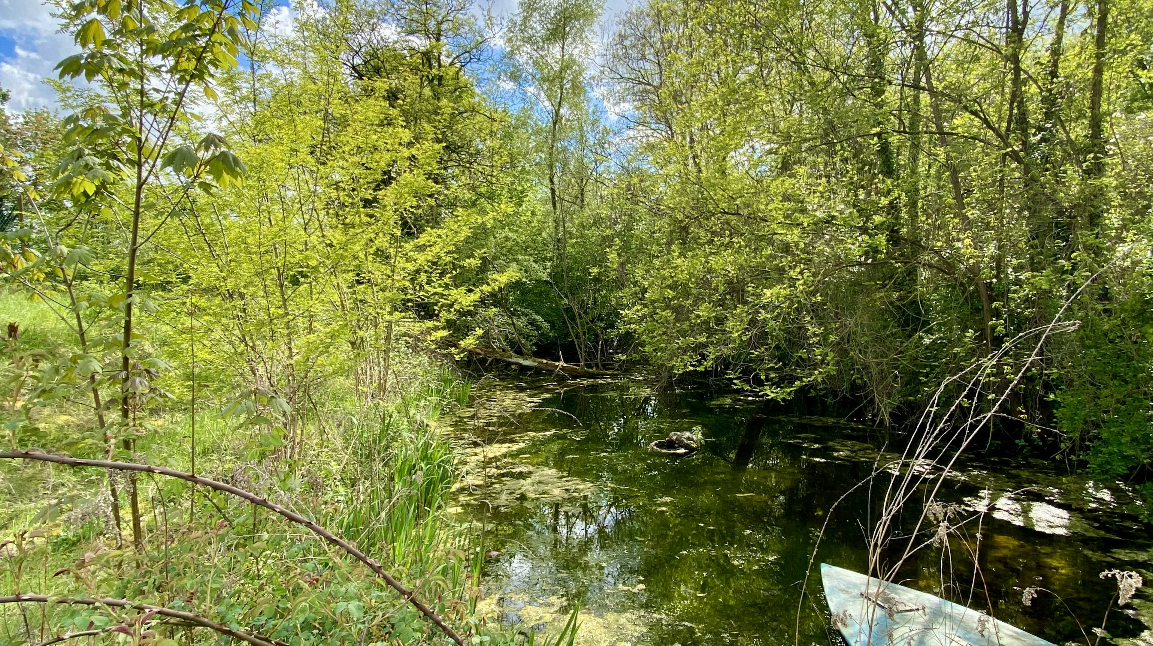 Plobsheim - Maison 111m² - Terrain 2 338m² - Etang