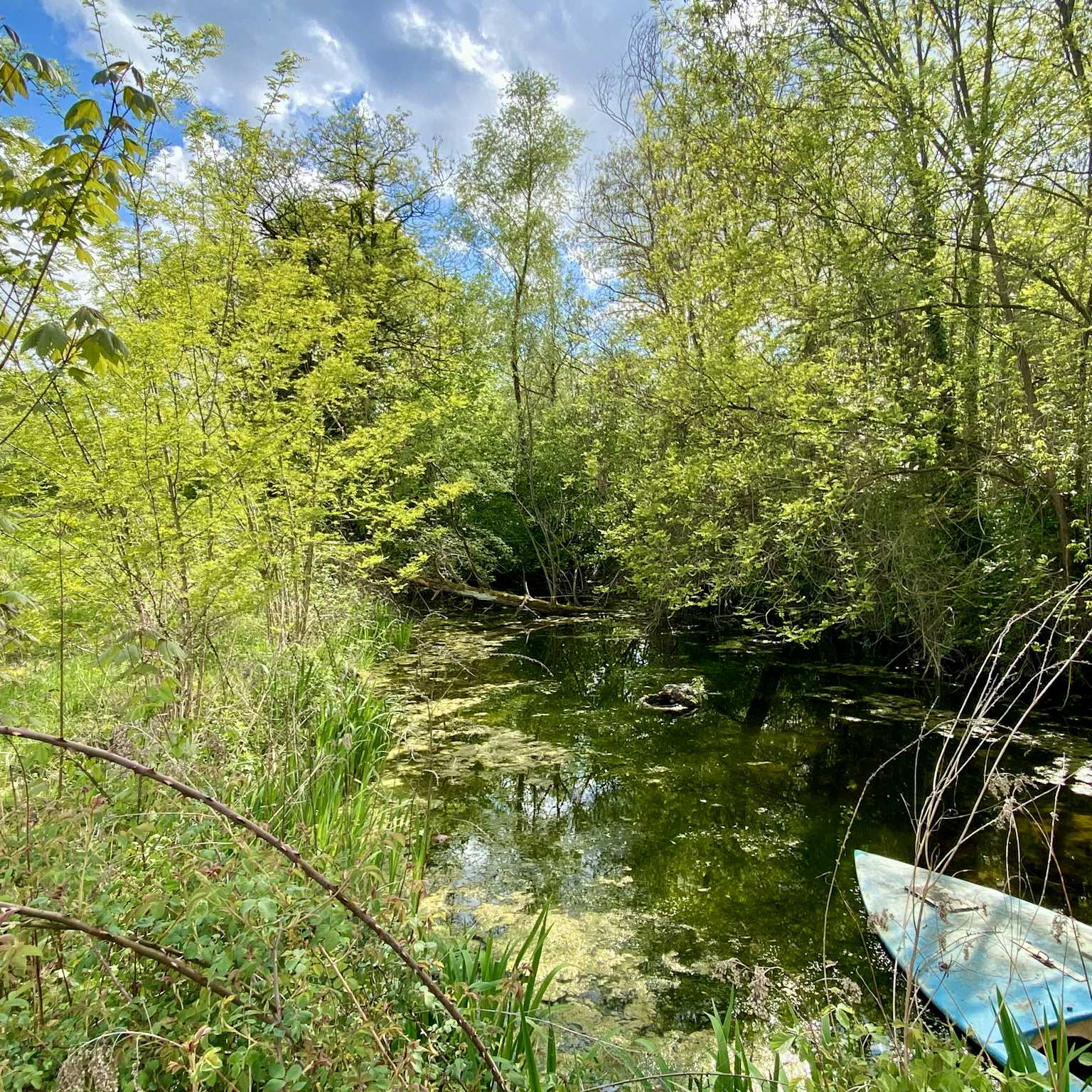 Plobsheim - Maison 111m² - Terrain 2 338m² - Etang