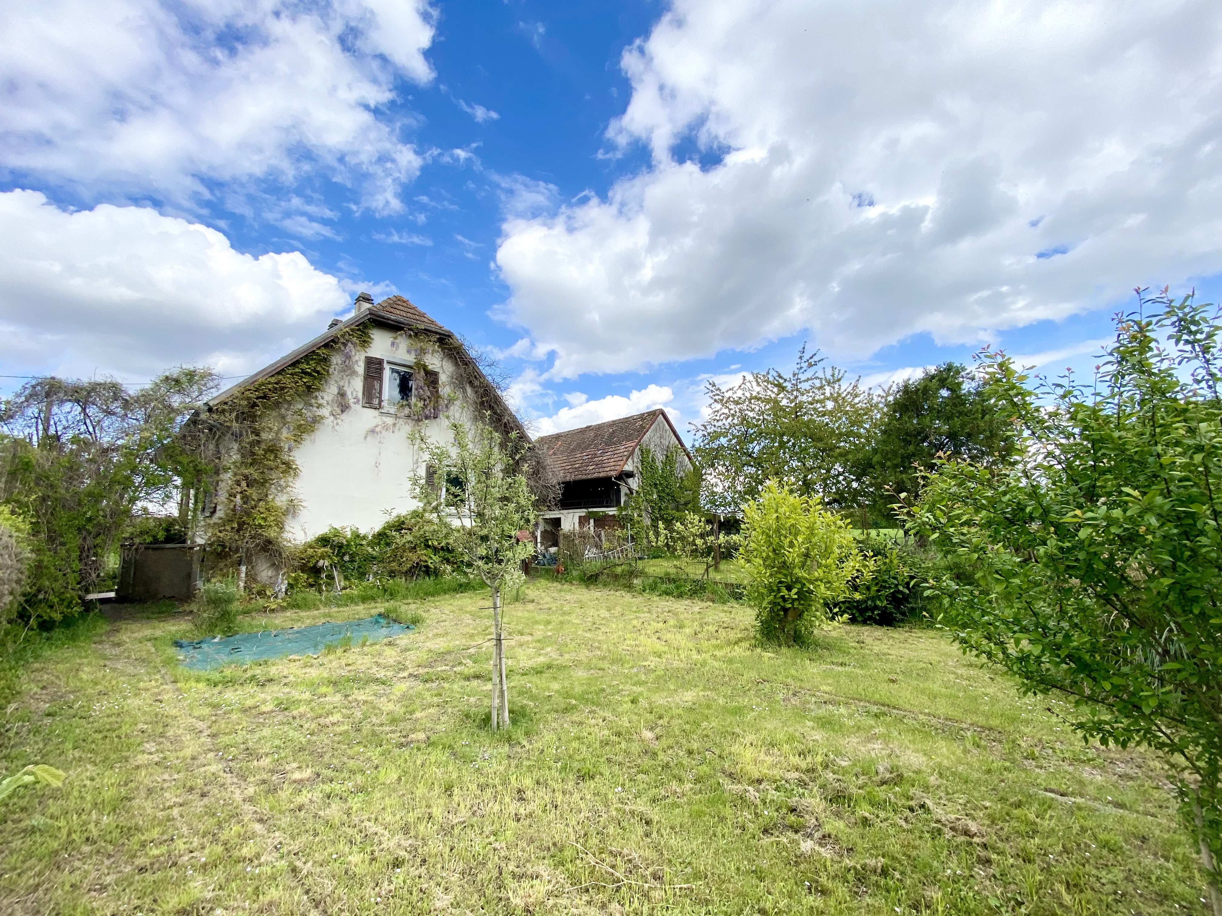 Plobsheim - Maison 111m² - Terrain 2 338m² - Etang