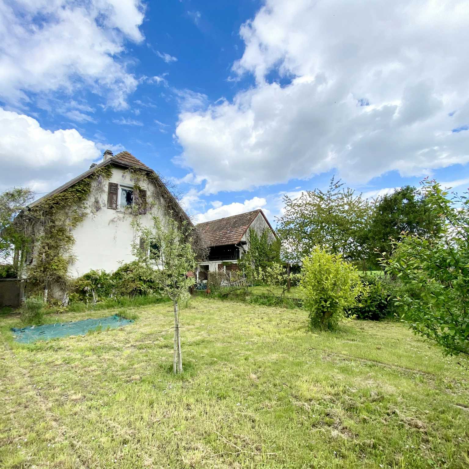 Plobsheim - Maison 111m² - Terrain 2 338m² - Etang