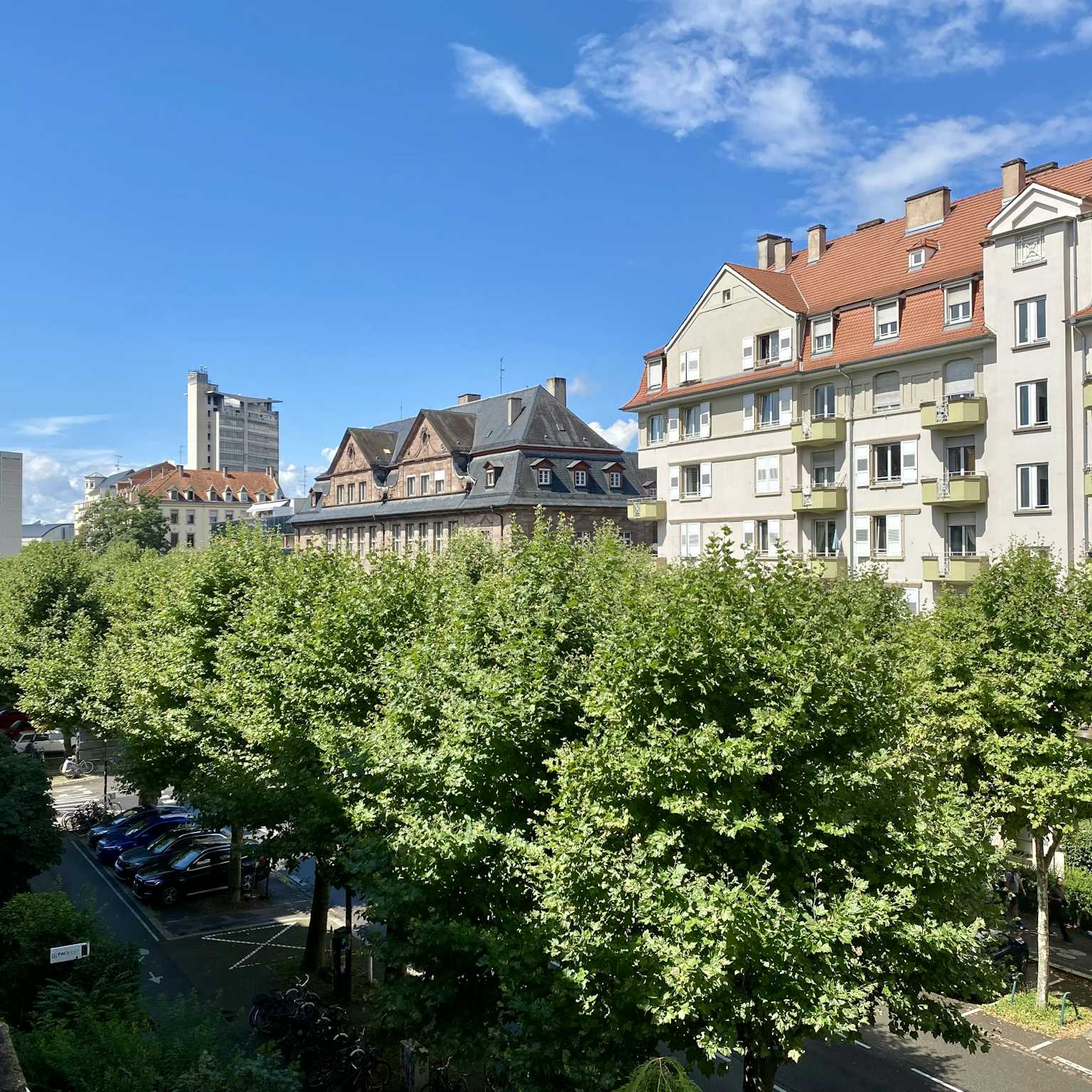 Strasbourg - Appartement 135m² - 2 Balcons - Cave