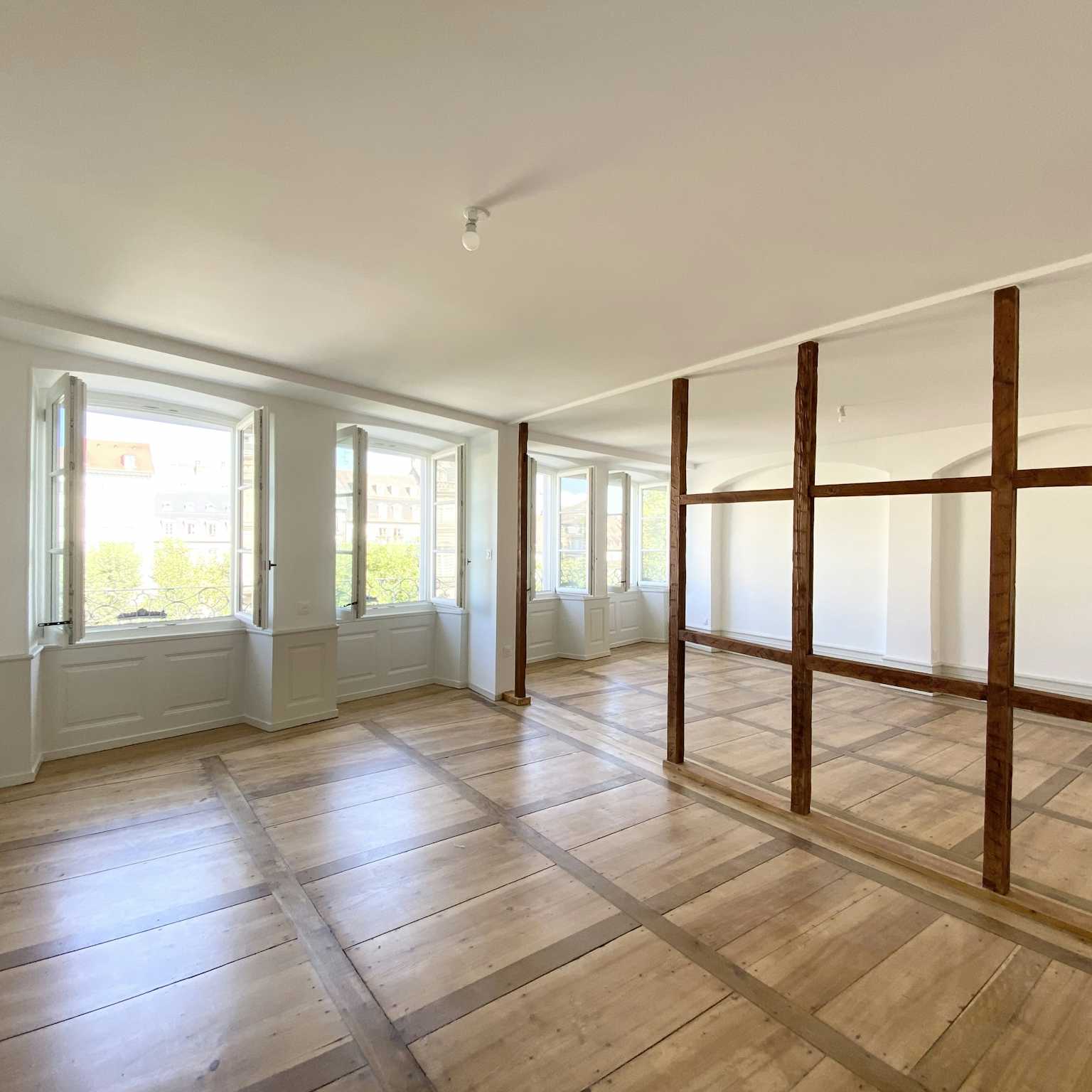 Strasbourg Krutenau - Appartement 130m² - 5 pièces