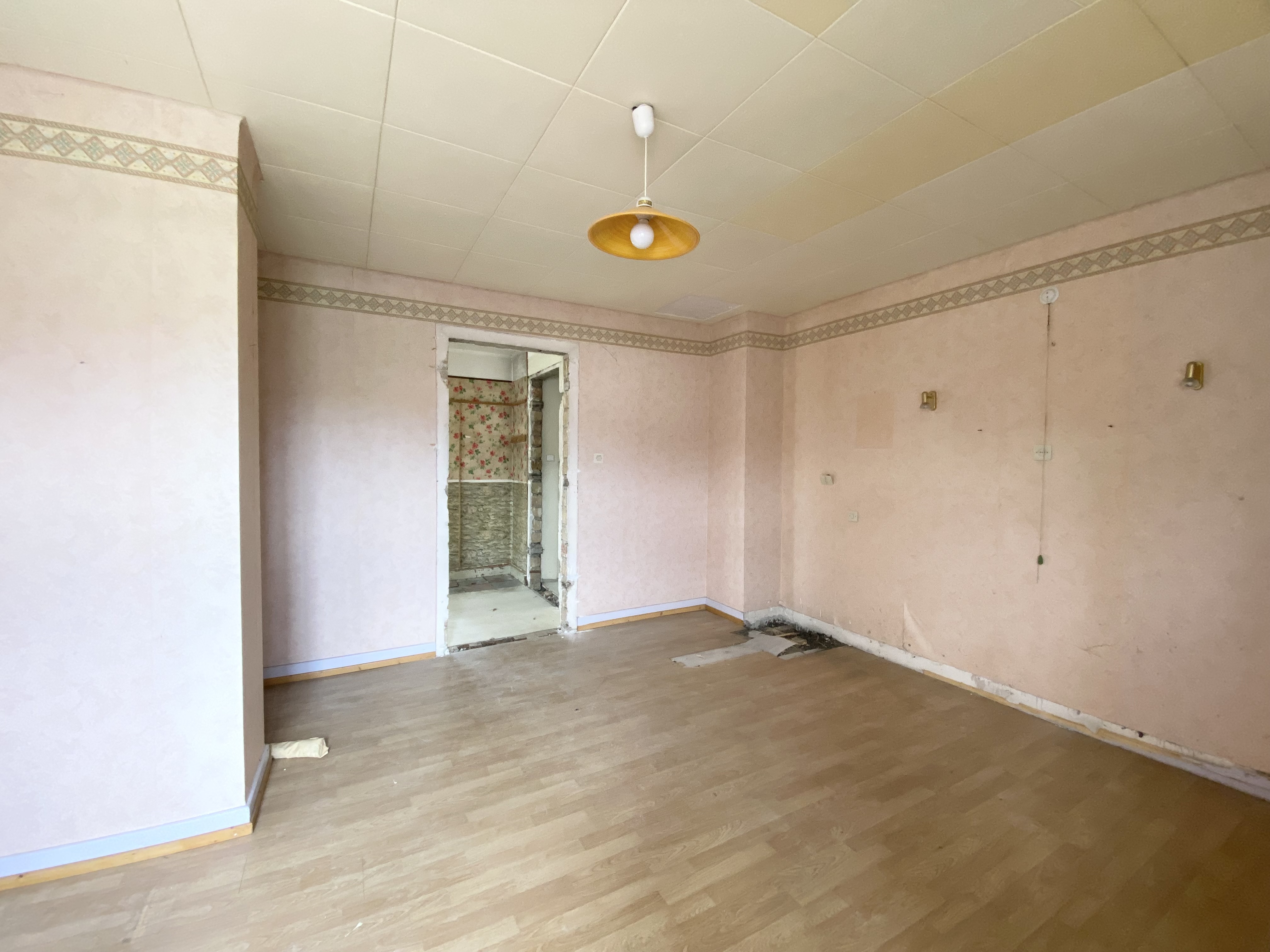 Eckwersheim - Maison 132 m² - Terrain 1 134 m²