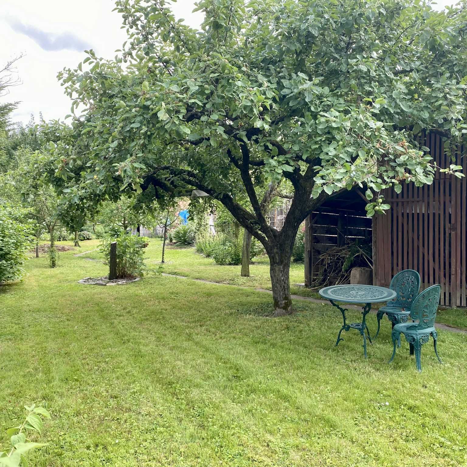 Eckwersheim - Maison 132 m² - Terrain 1 134 m²