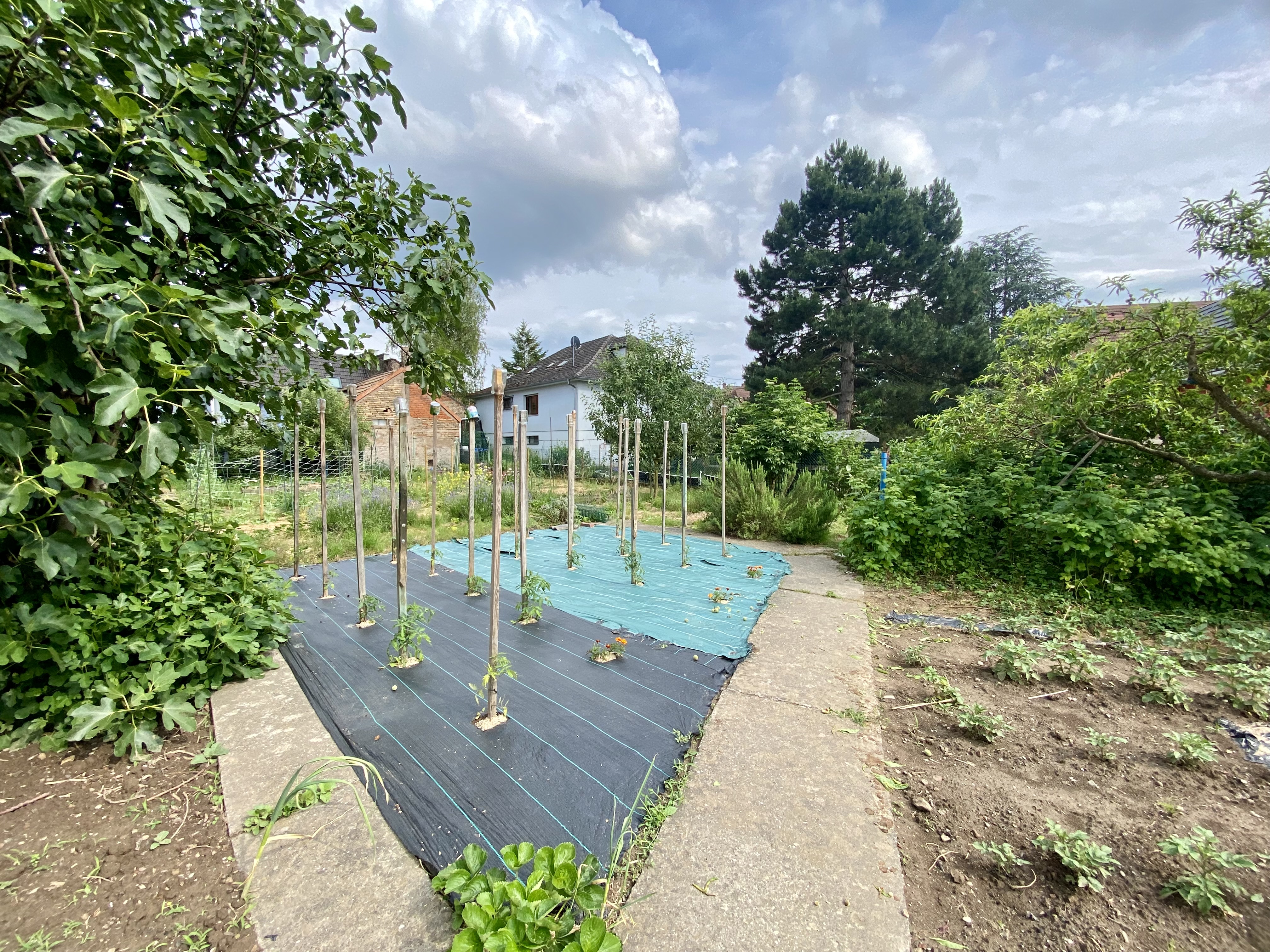 Eckwersheim - Maison 132 m² - Terrain 1 134 m²