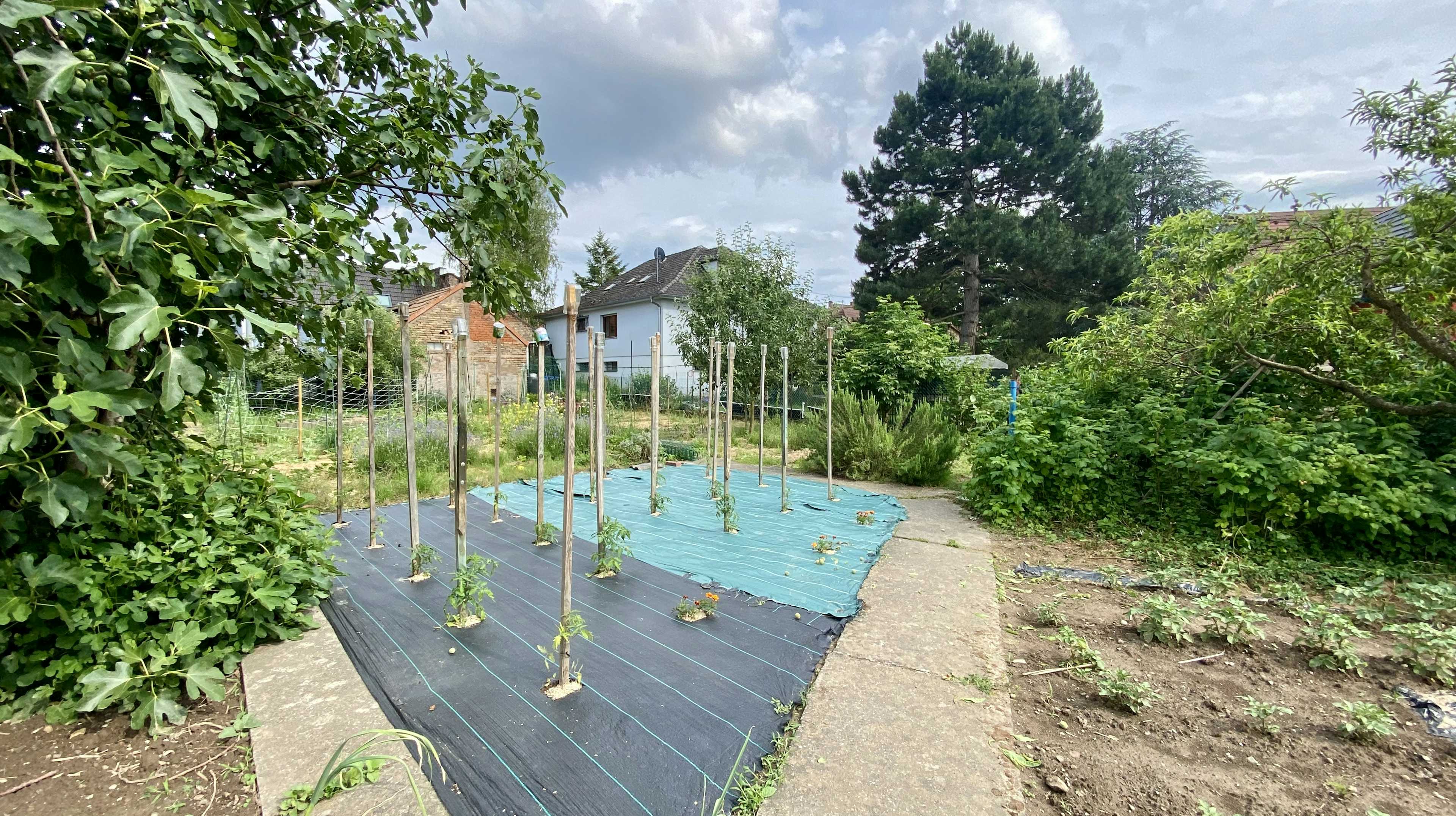 Eckwersheim - Maison 132 m² - Terrain 1 134 m²