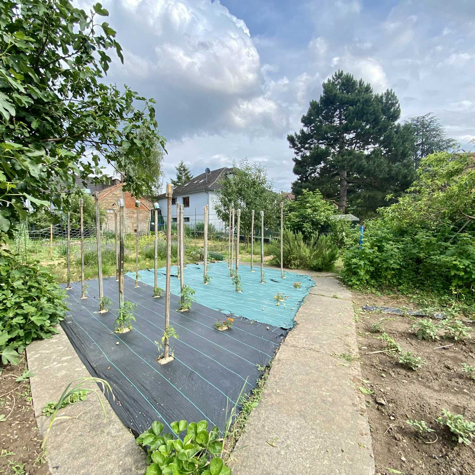 Eckwersheim - Maison 132 m² - Terrain 1 134 m²