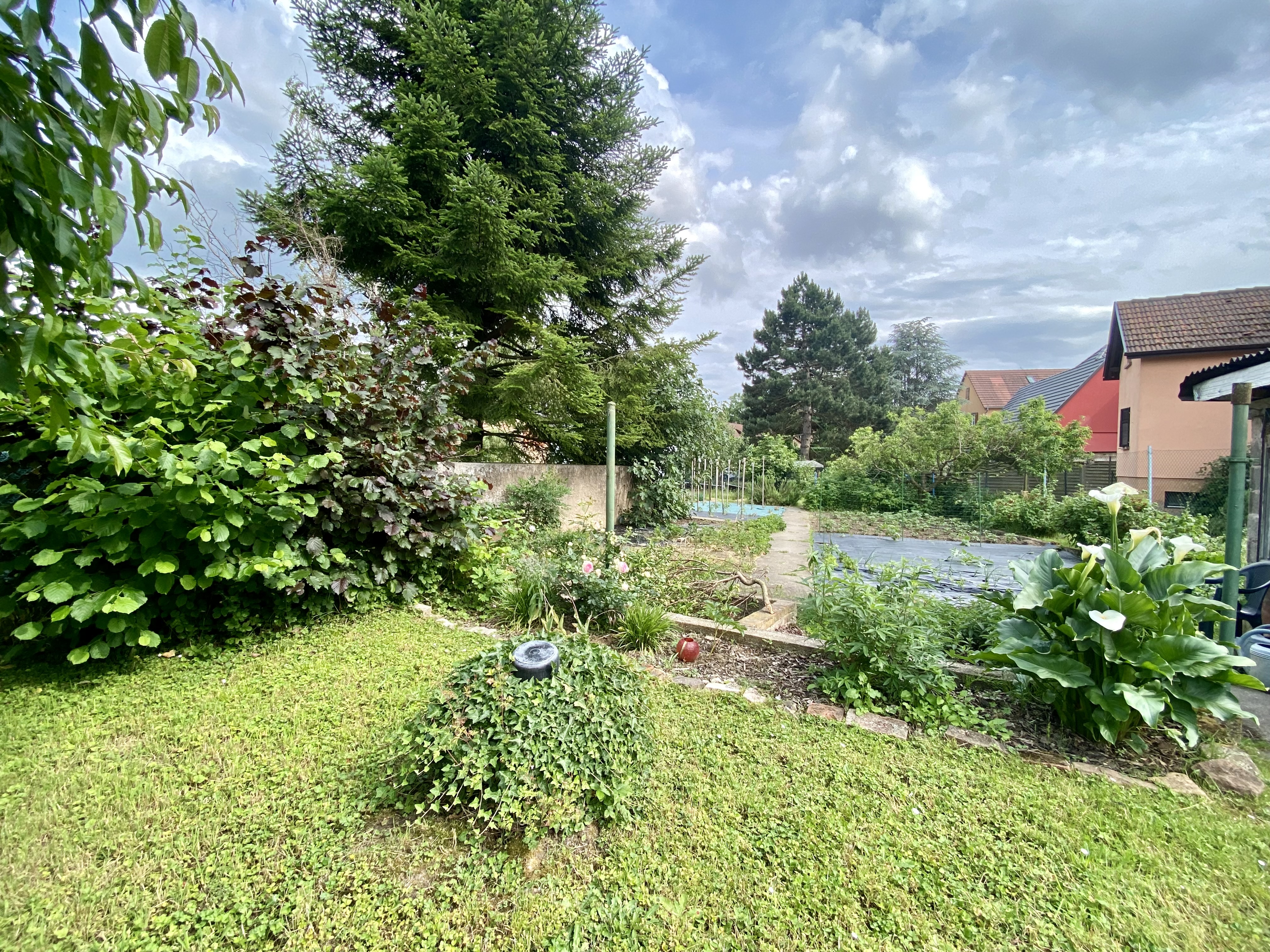 Eckwersheim - Maison 132 m² - Terrain 1 134 m²