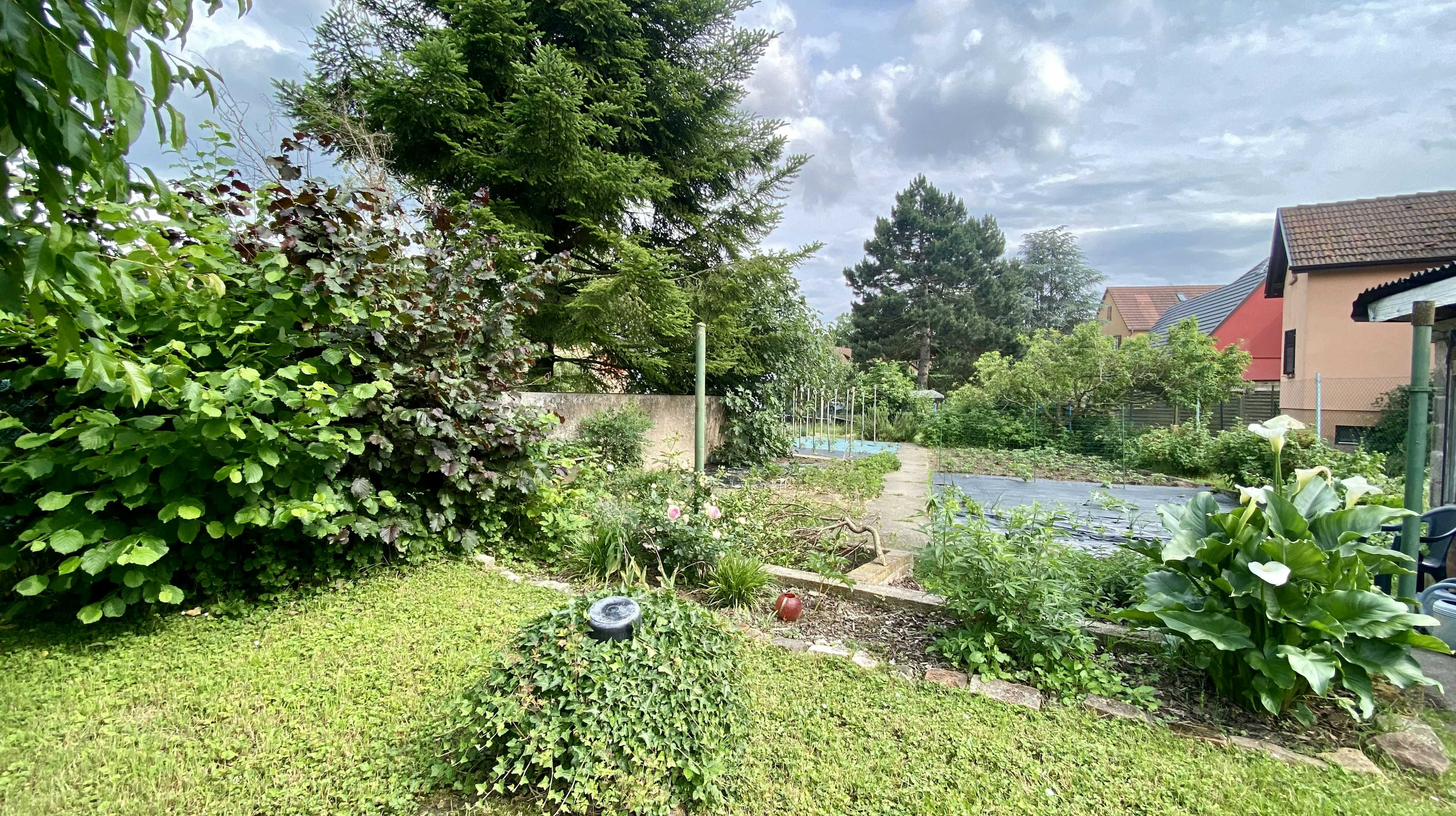 Eckwersheim - Maison 132 m² - Terrain 1 134 m²