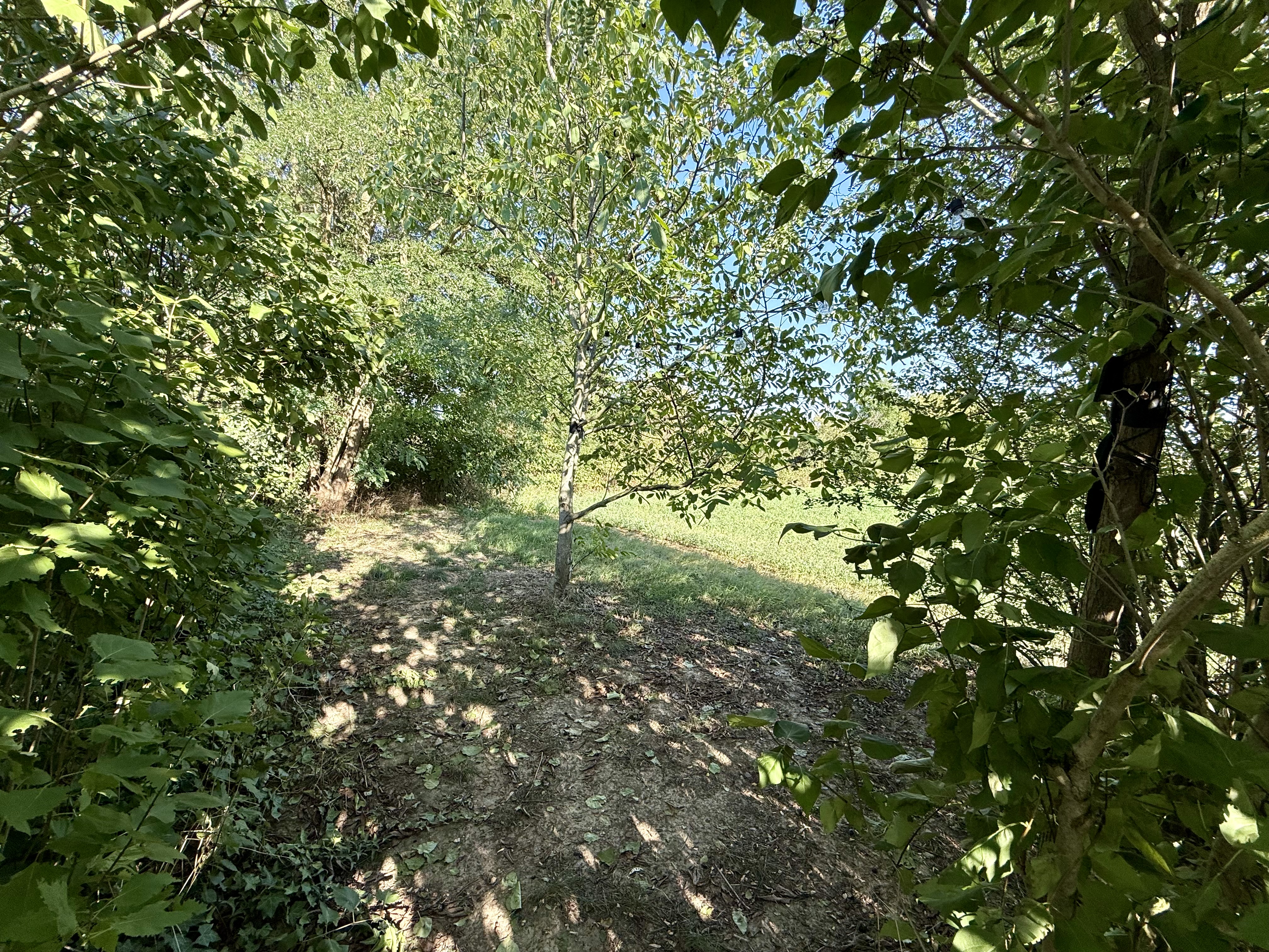 Duppigheim - Maison 104 m² au sol 80 m² habitables - Terrain 288 m²